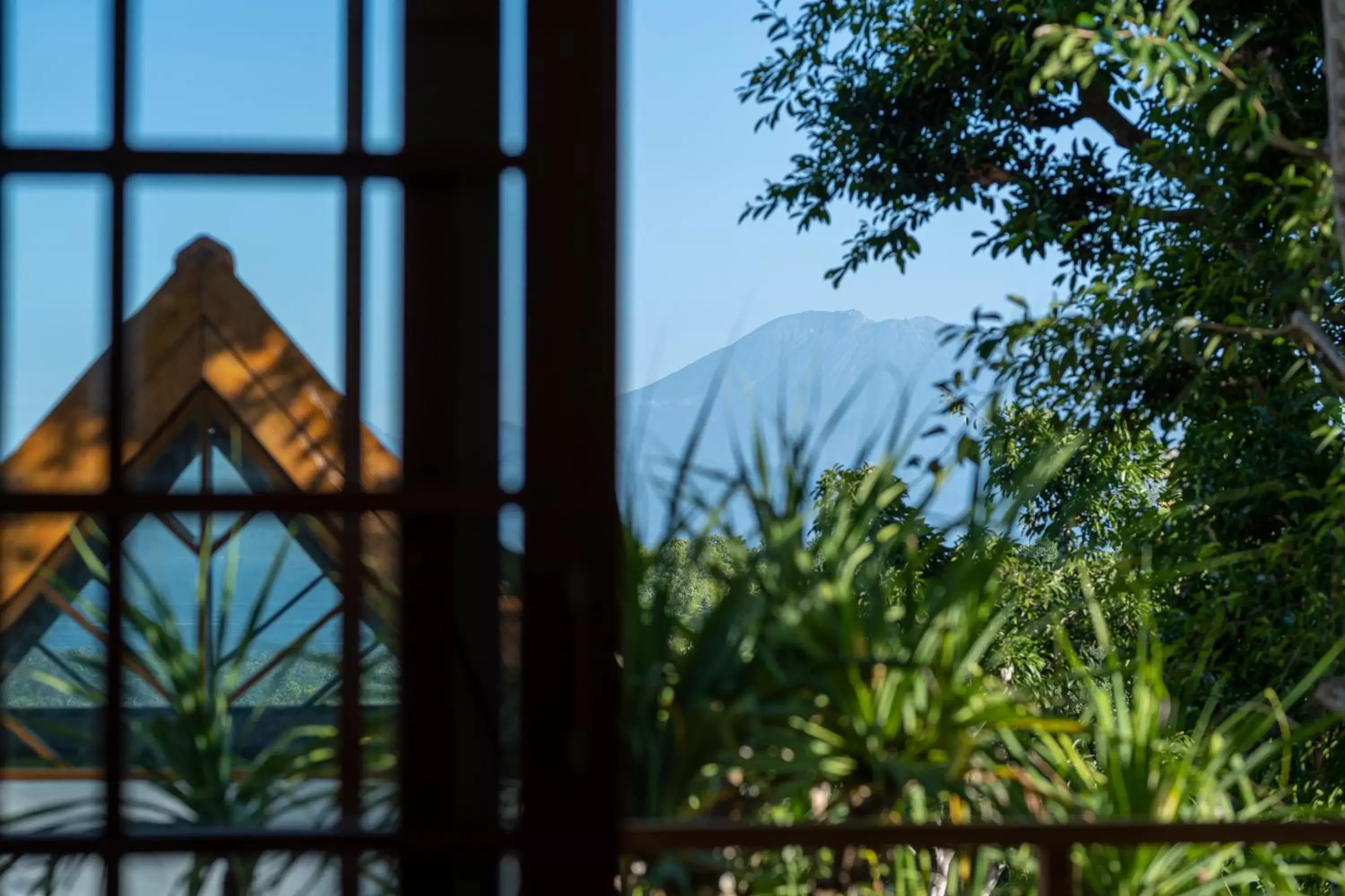 Mountain view in Deep Roots Dive & Yoga Resort Mountain view in Deep Roots Dive & Yoga Resort