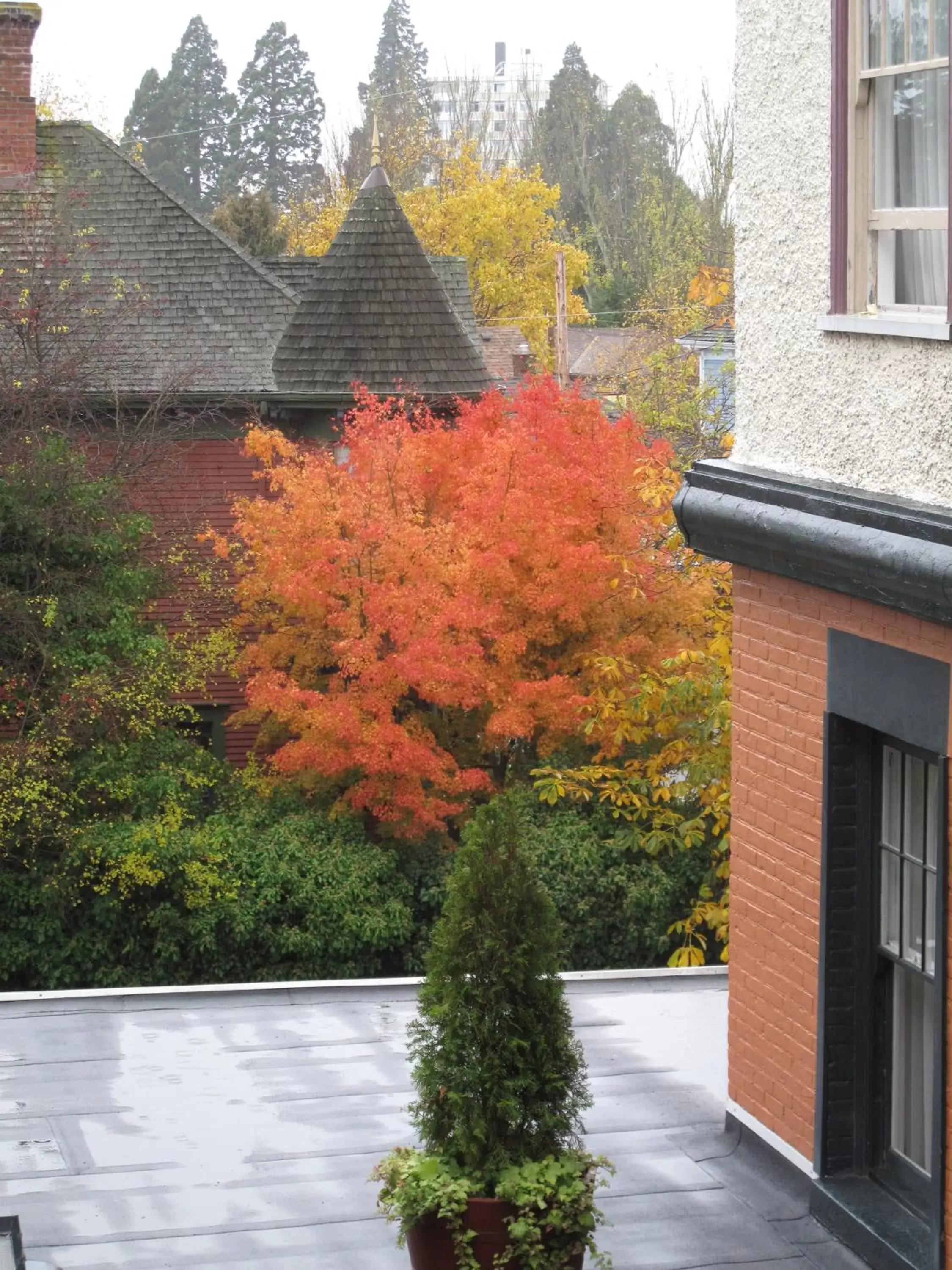 View (from property/room), Property Building in James Bay Inn Hotel, Suites & Cottage