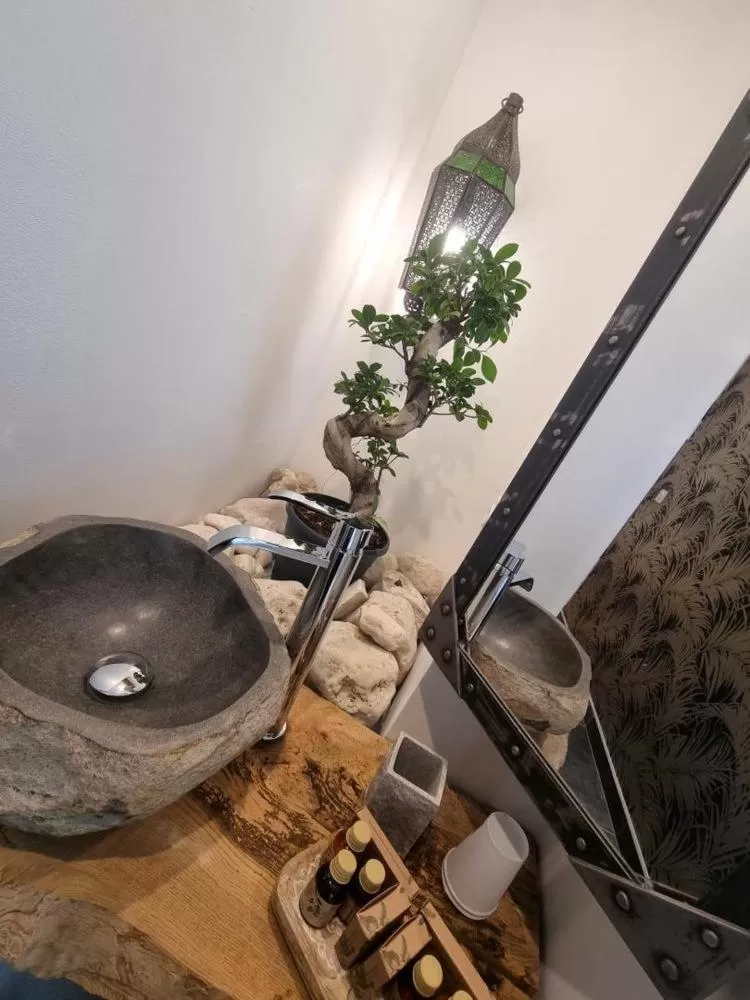 Bathroom in La Voûte du Pilat & SPA