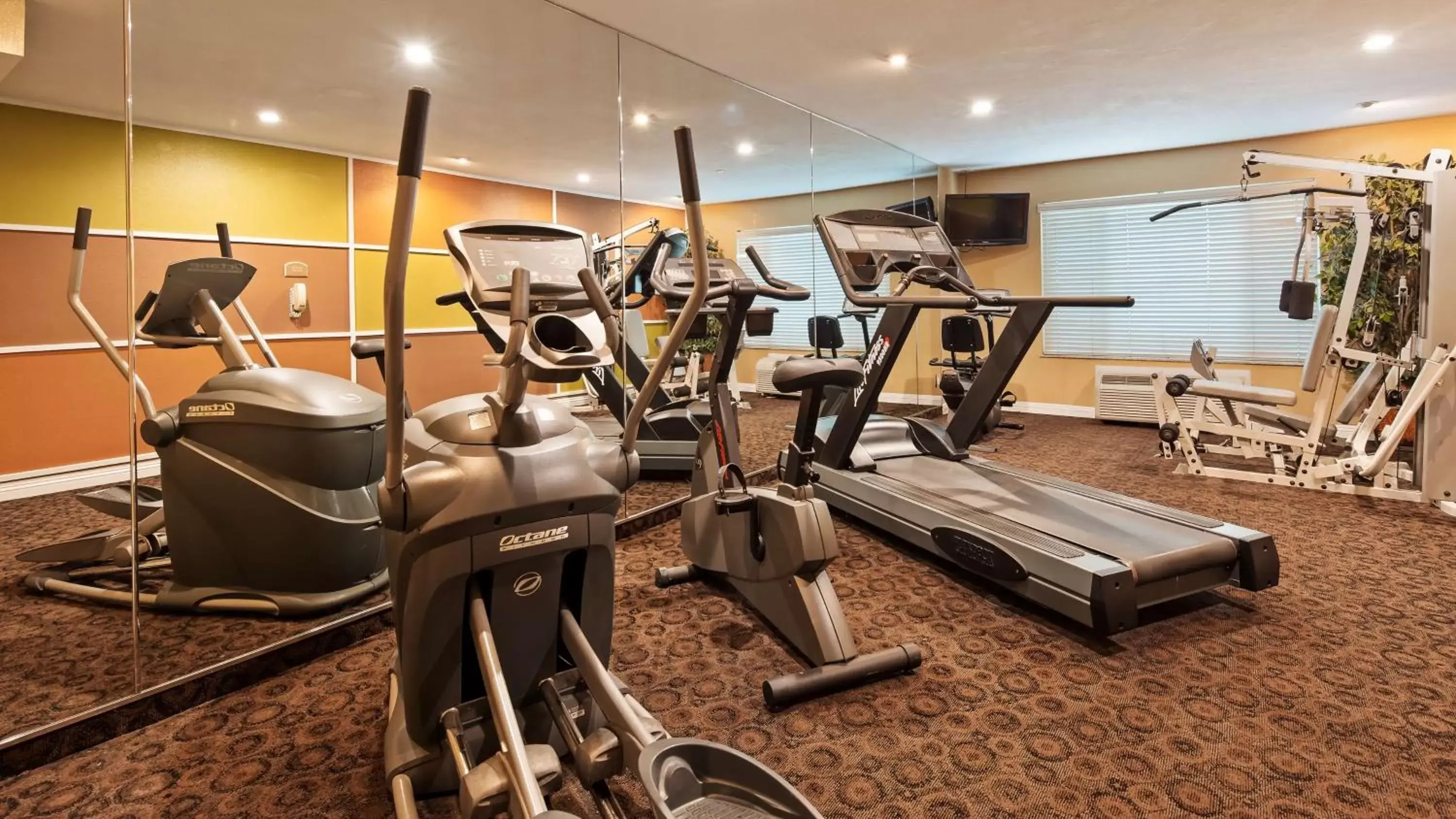 Fitness centre/facilities, Fitness Center/Facilities in Best Western Plus - Anaheim Orange County Hotel