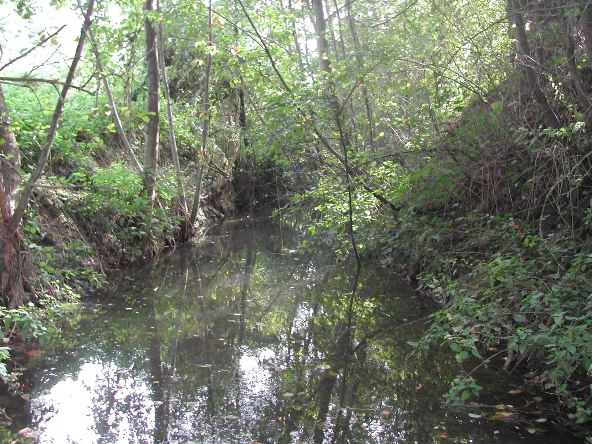 River view in Aux Logis de la Solre