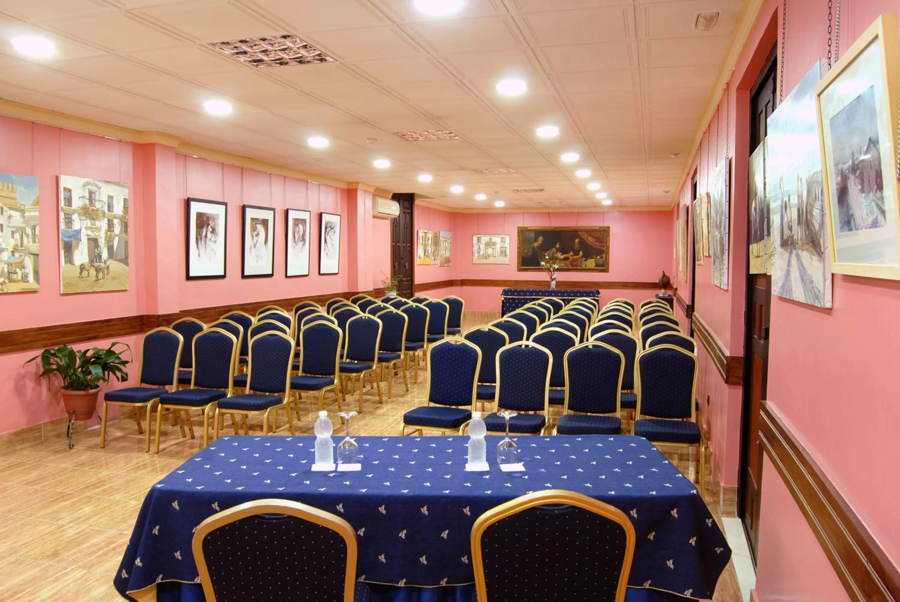 Meeting/conference room in Hotel Pinomar