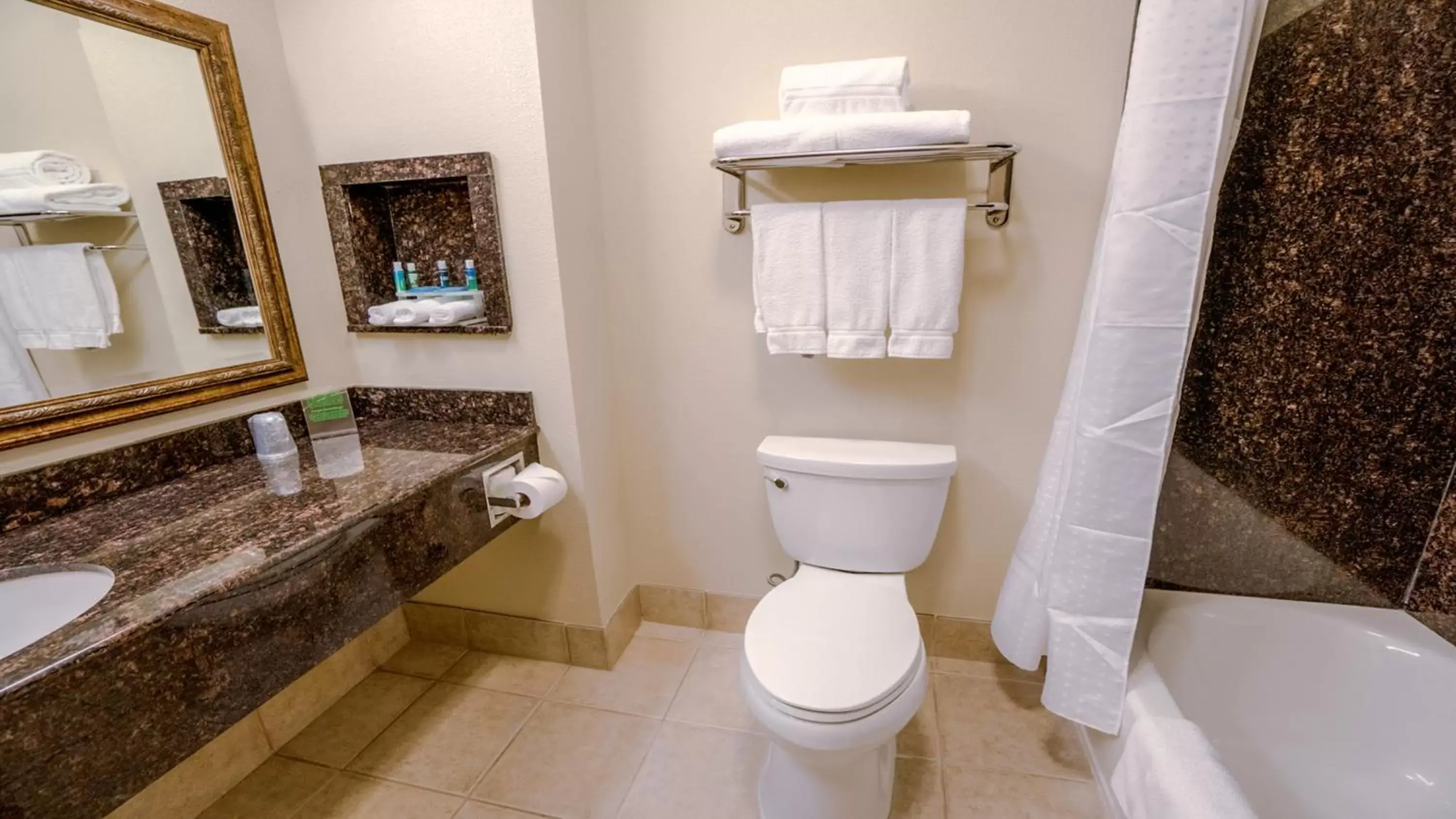 Photo of the whole room, Bathroom in Holiday Inn Express Hotel & Suites Pampa, an IHG Hotel