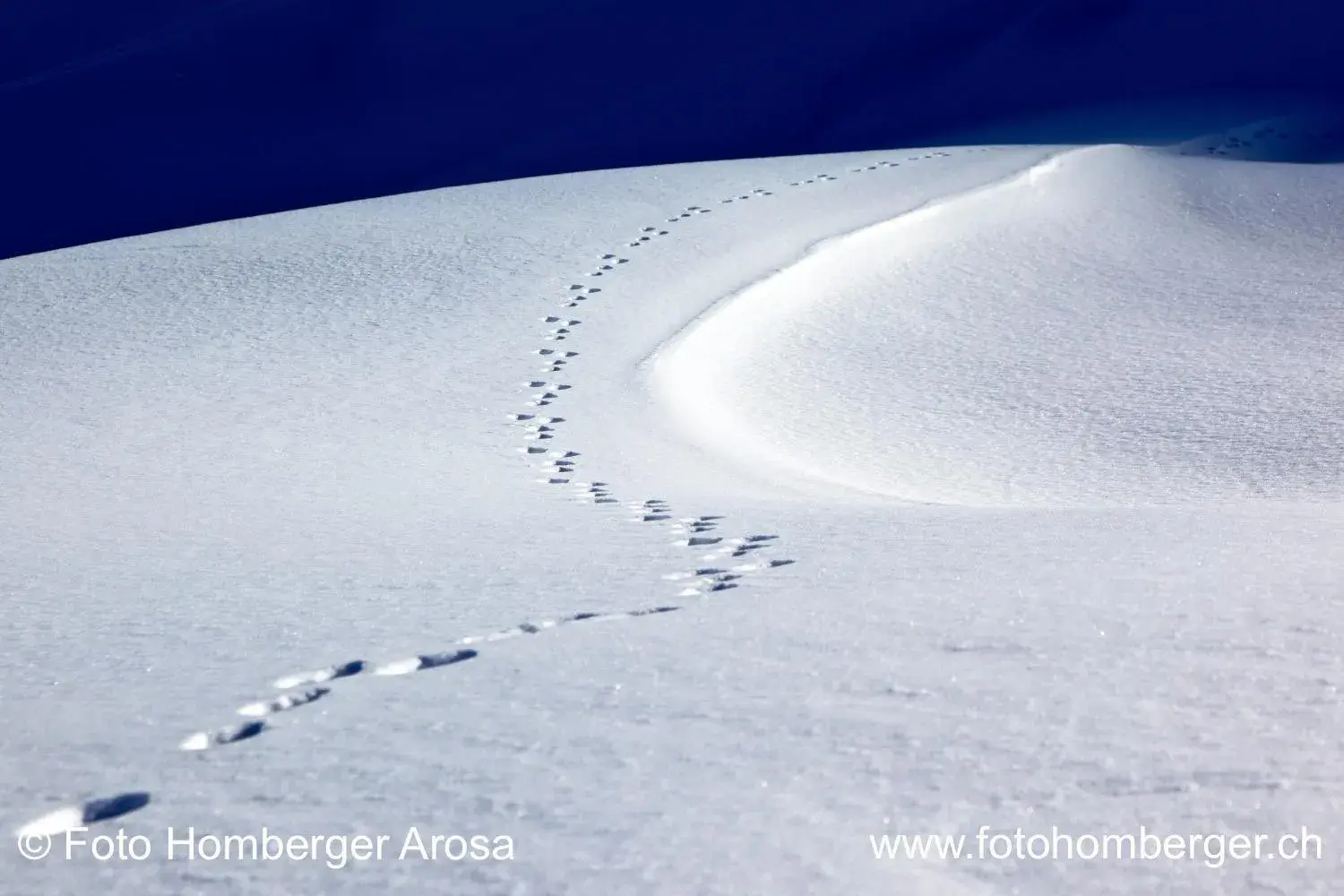 Text overlay in Arosa Vetter Hotel