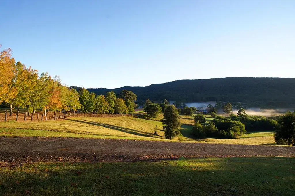 Natural landscape in Clarendon Forest Retreat