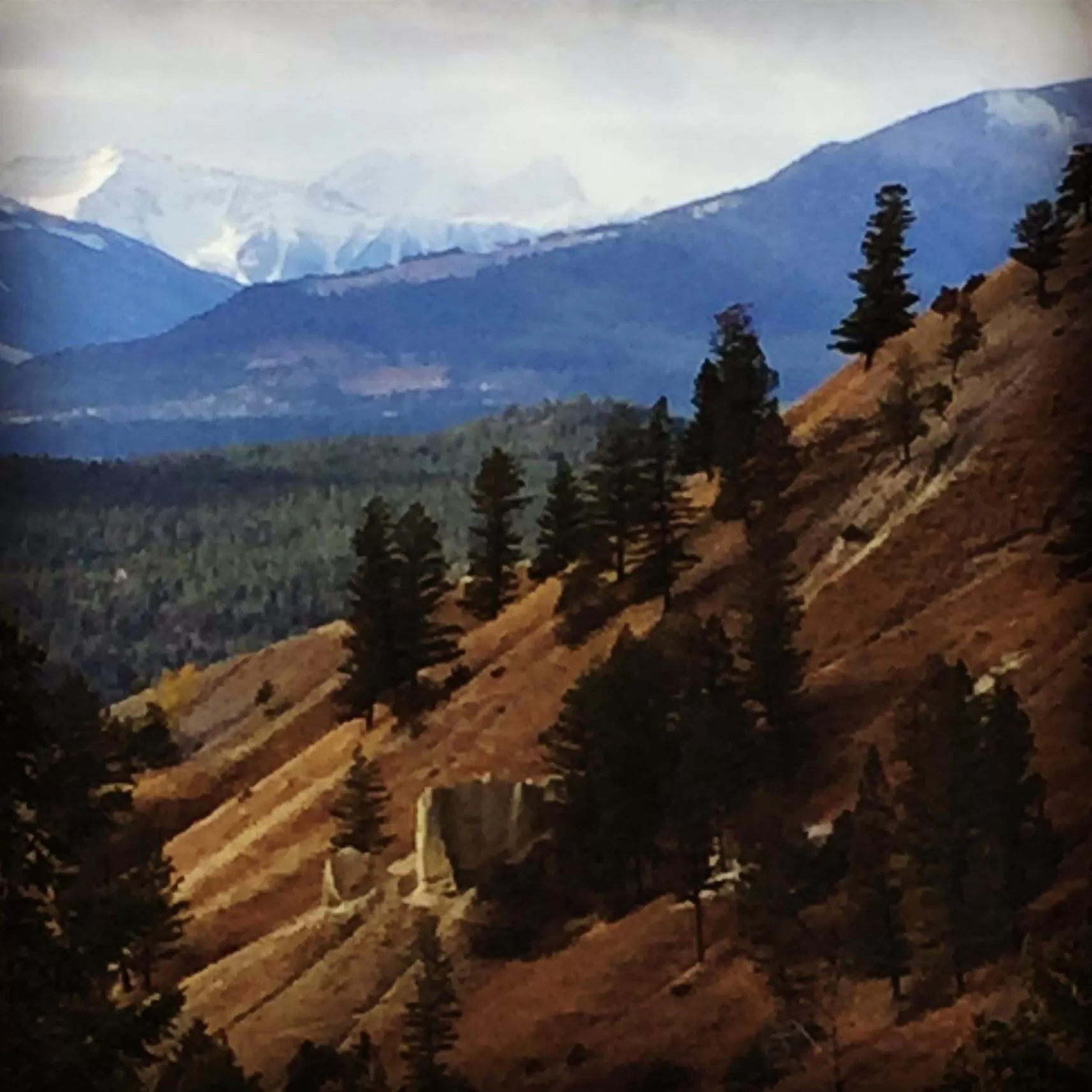 View (from property/room), Mountain View in Misty River Lodge