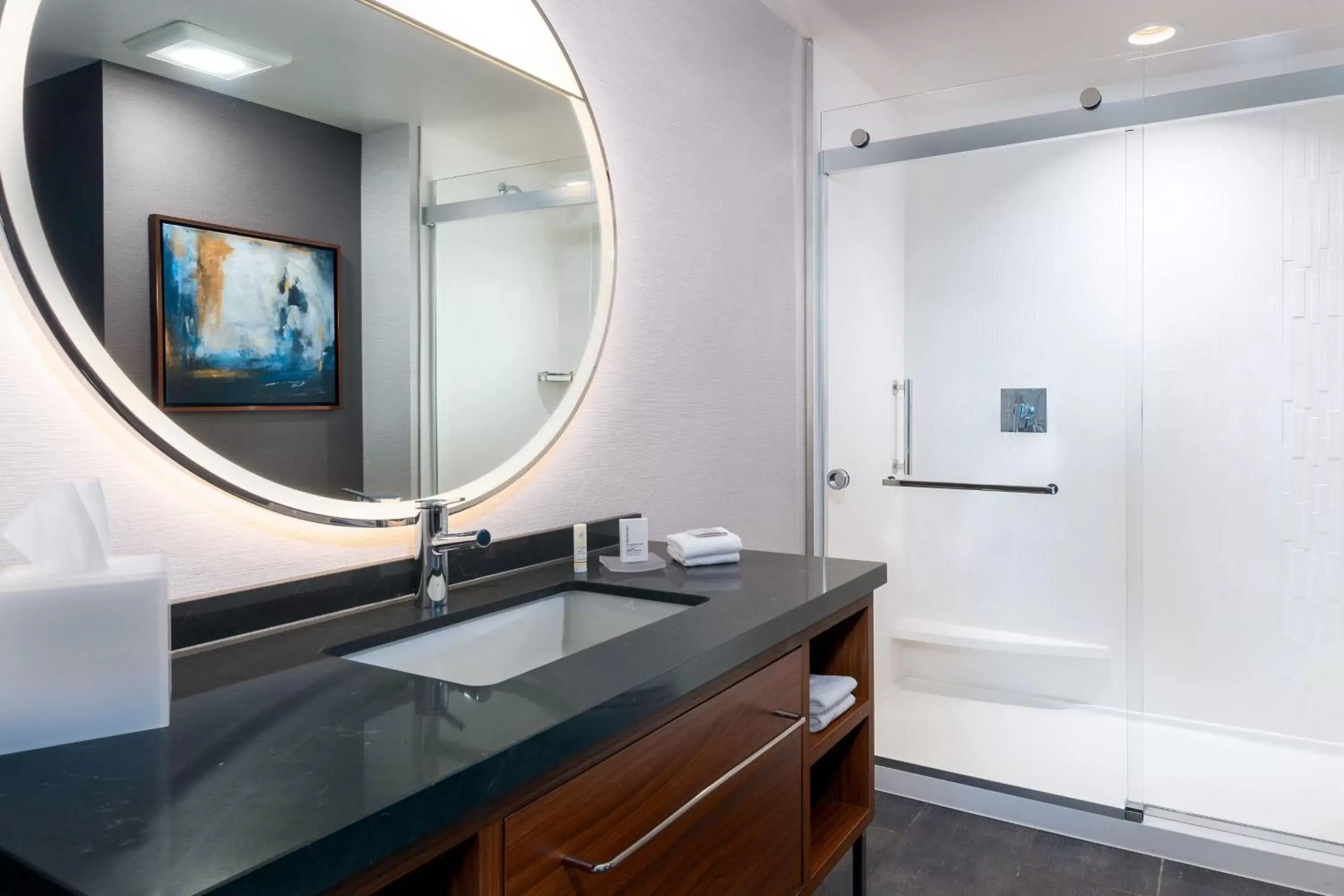 Bathroom in Courtyard by Marriott Atlanta Midtown