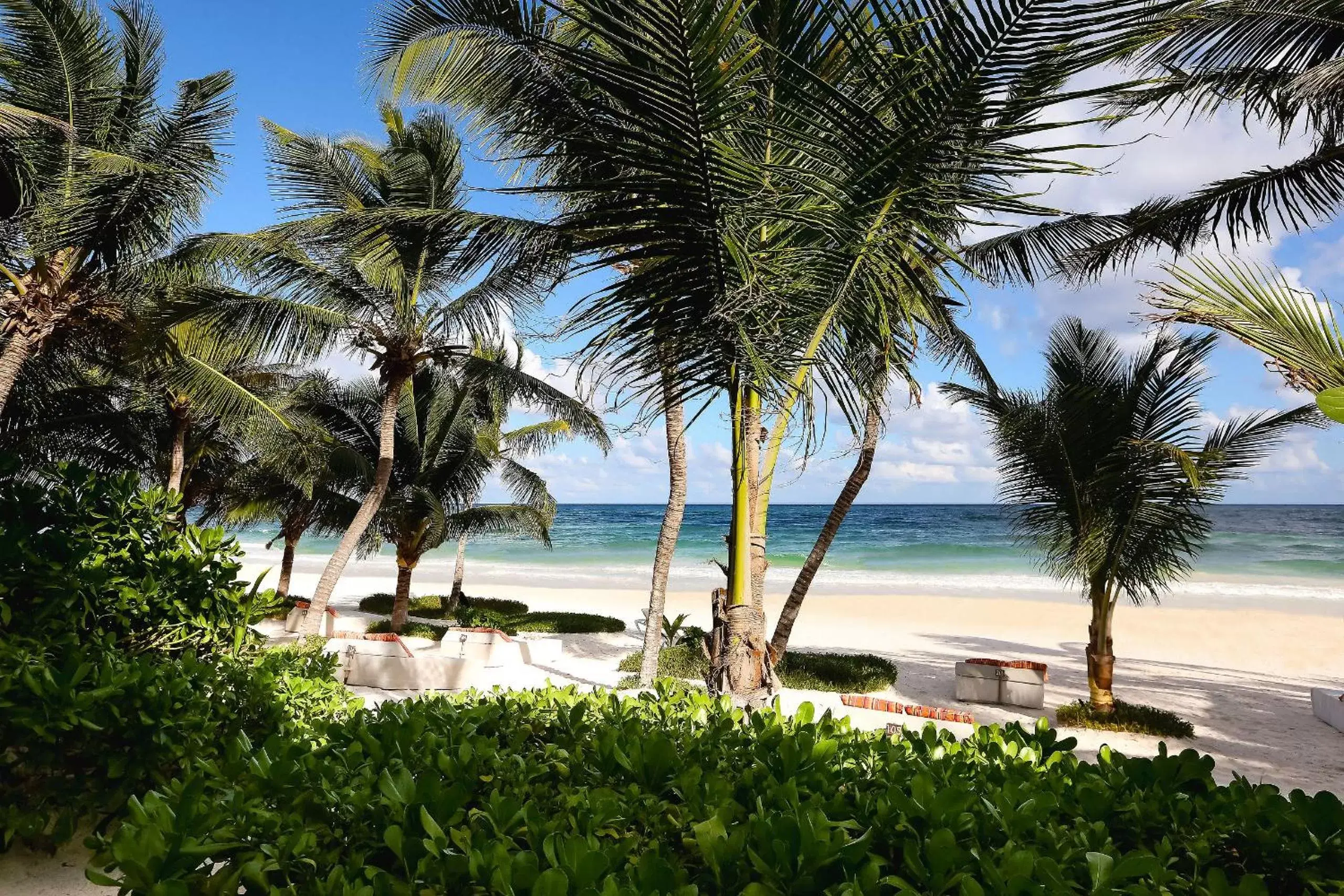 Sea view, Beach in The Beach Tulum