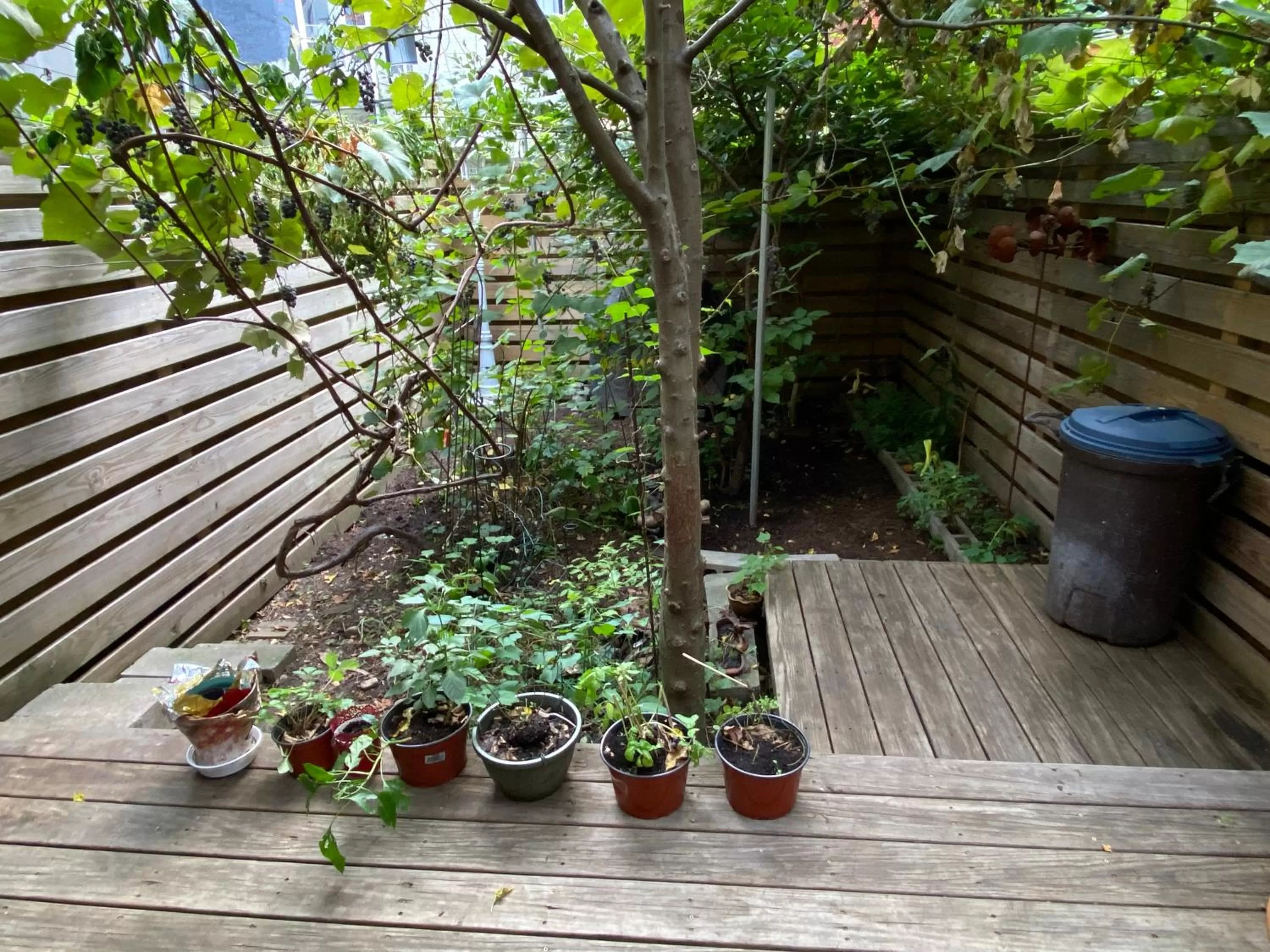 Patio in Northern Lights Mansion