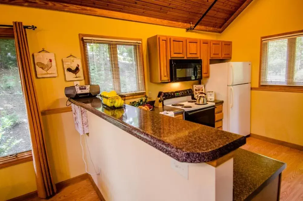 Kitchen or kitchenette, Kitchen/Kitchenette in Asheville Cabins of Willow Winds