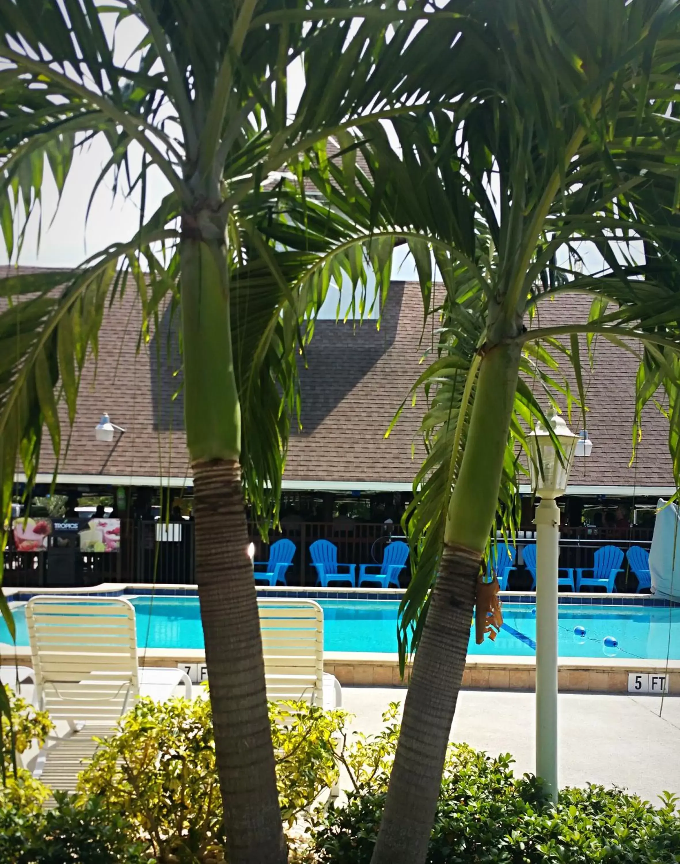 Day, Swimming Pool in Dolphin Key Resort - Cape Coral