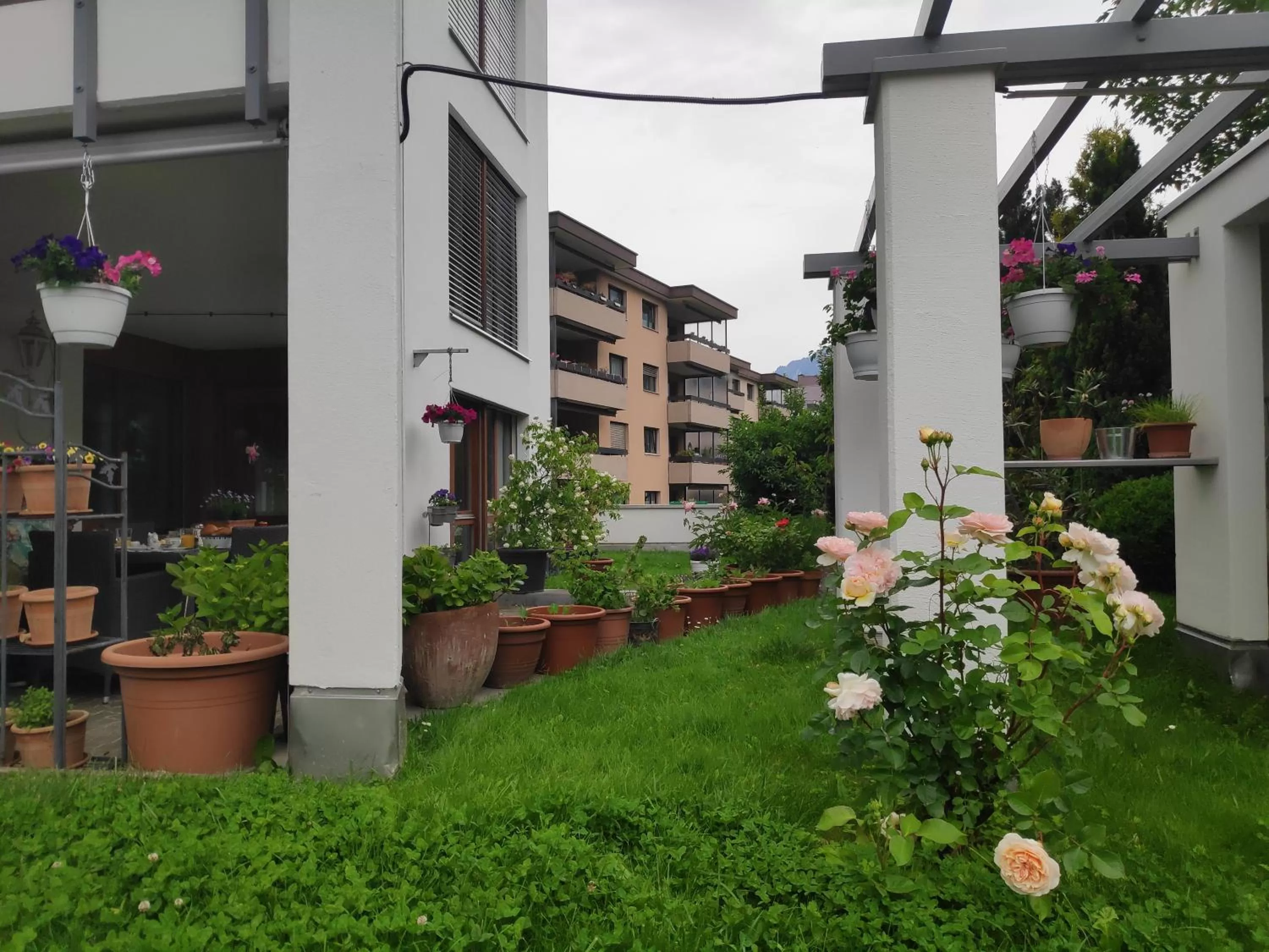 Garden, Property Building in Bed & Breakfast