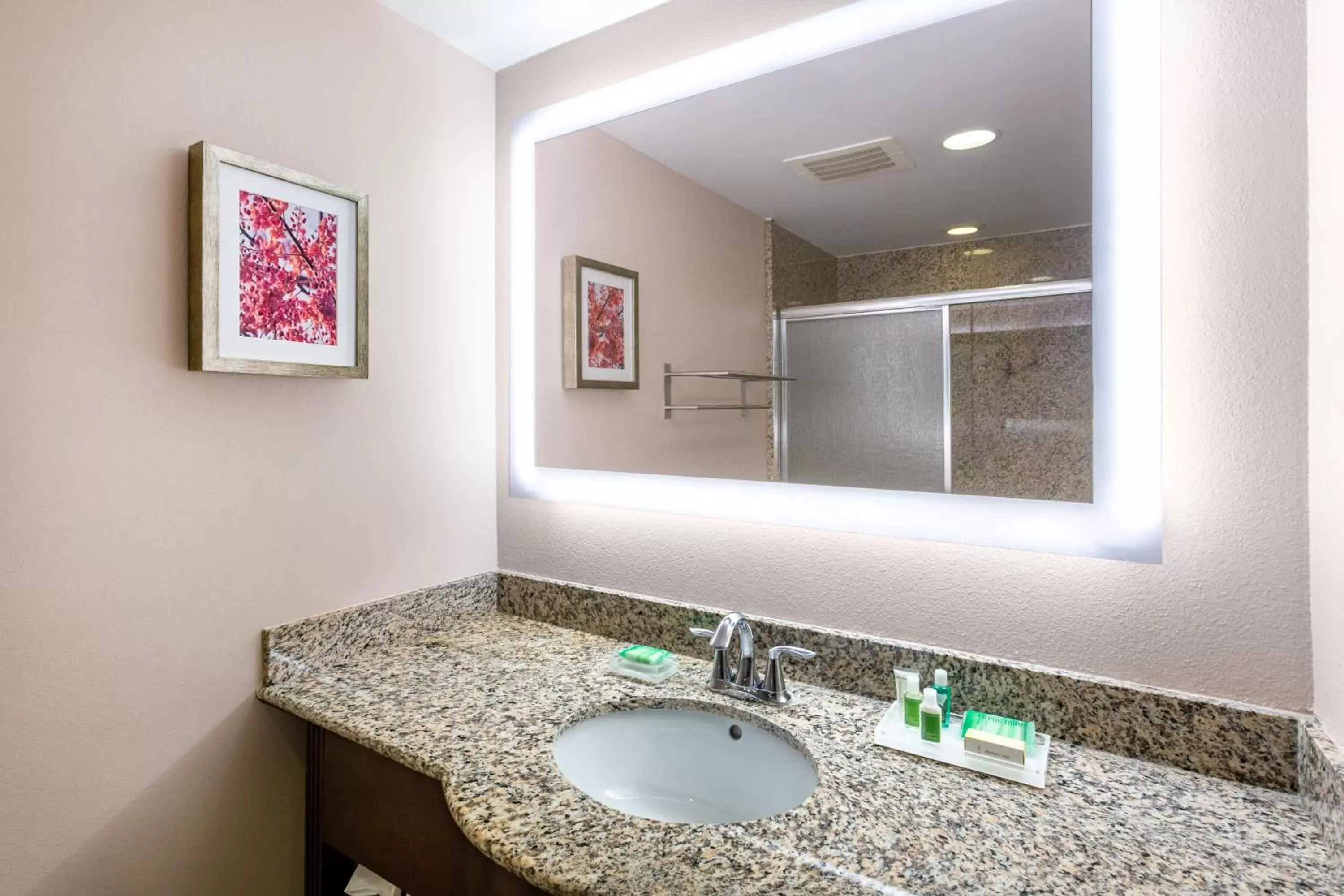 Bathroom in Holiday Inn Winter Haven, an IHG Hotel