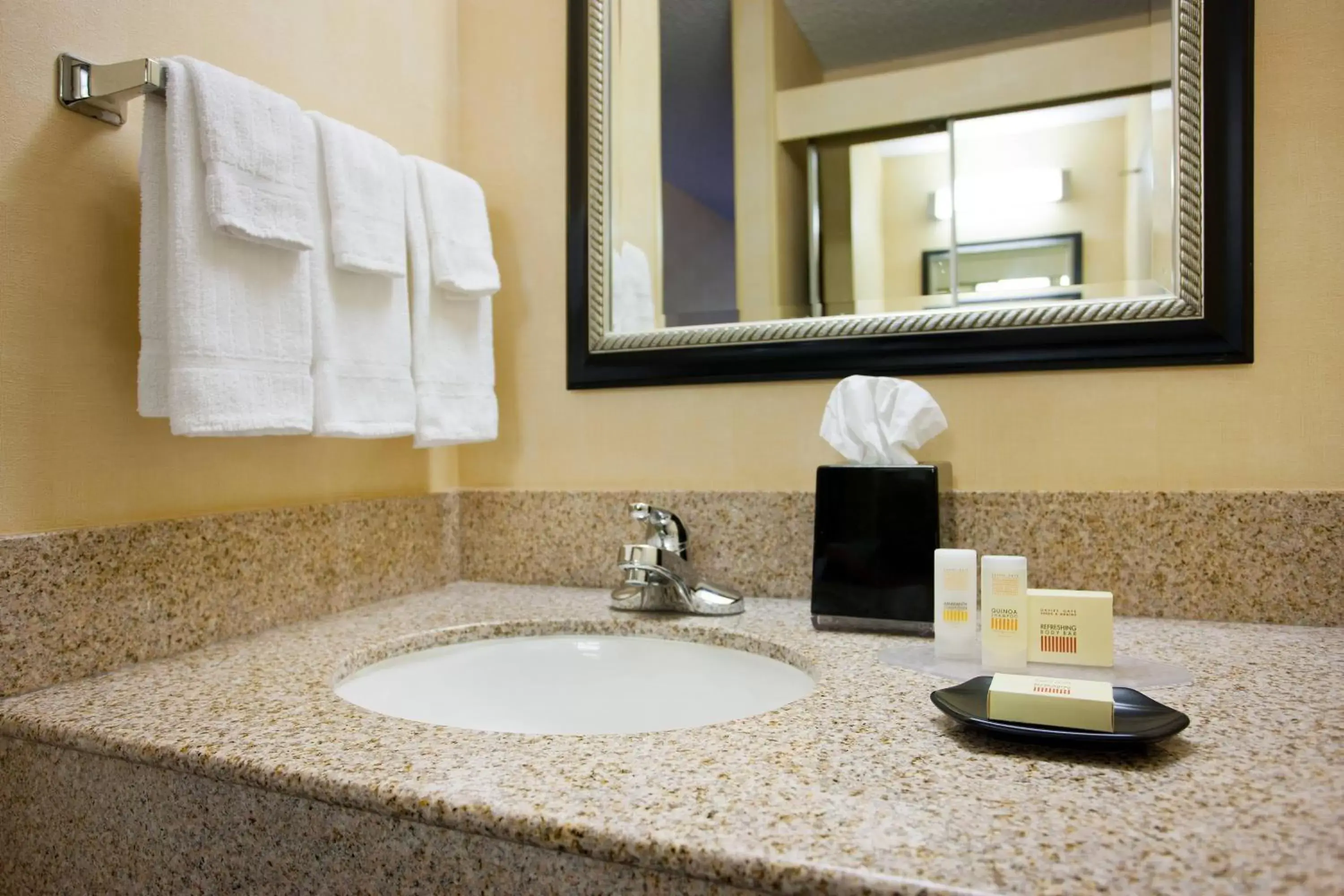 Bathroom in Courtyard Sacramento Airport Natomas