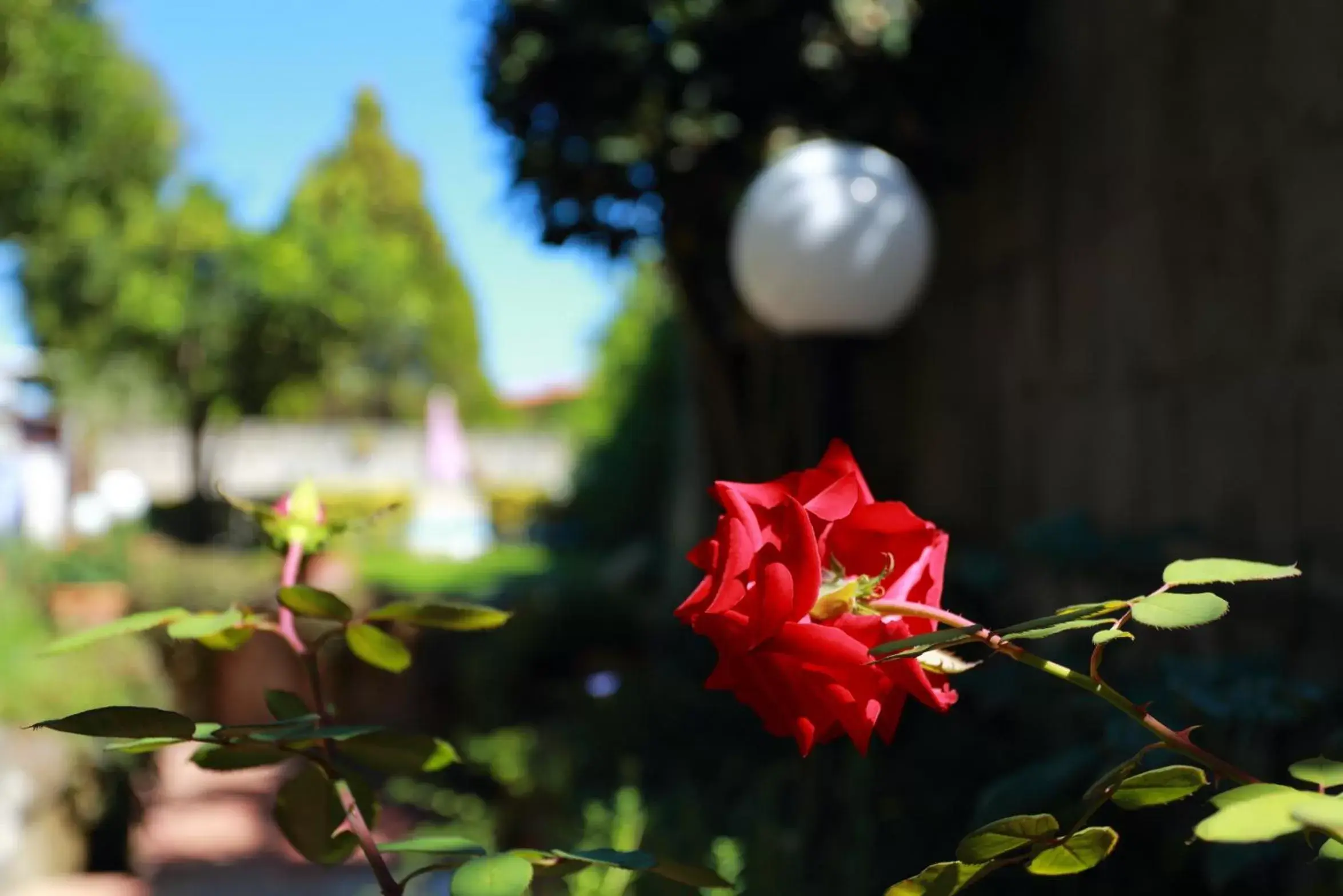 Garden in Ambrosio Relais