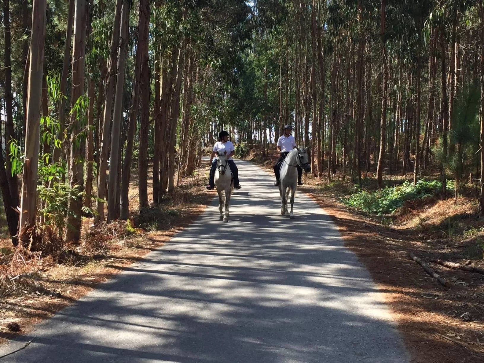 Coudelaria Residence