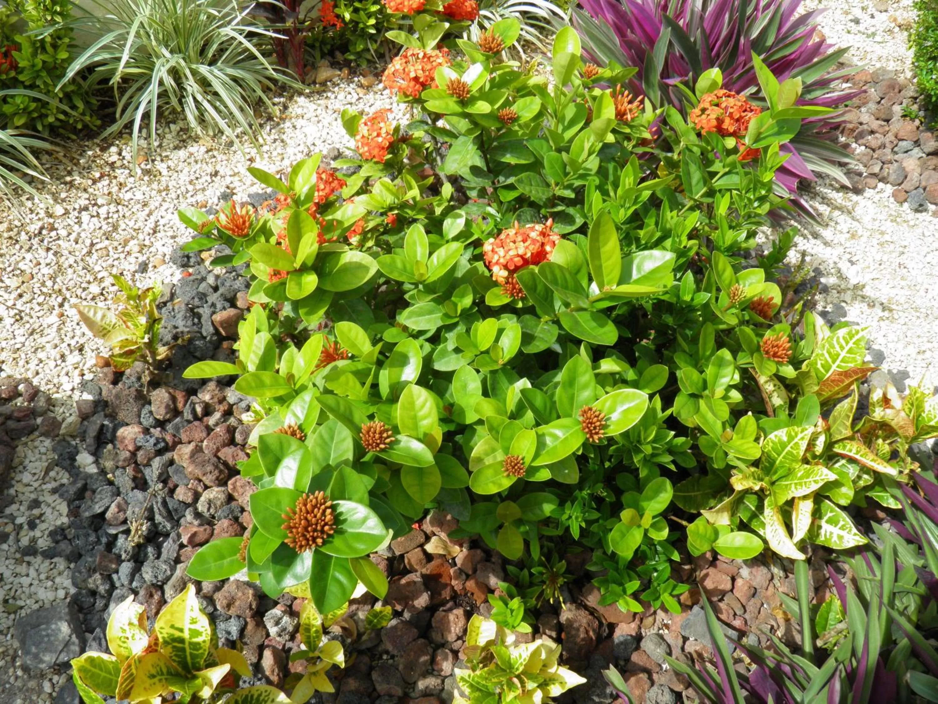 Natural landscape in El Zaguán Colonial by GuruHotel