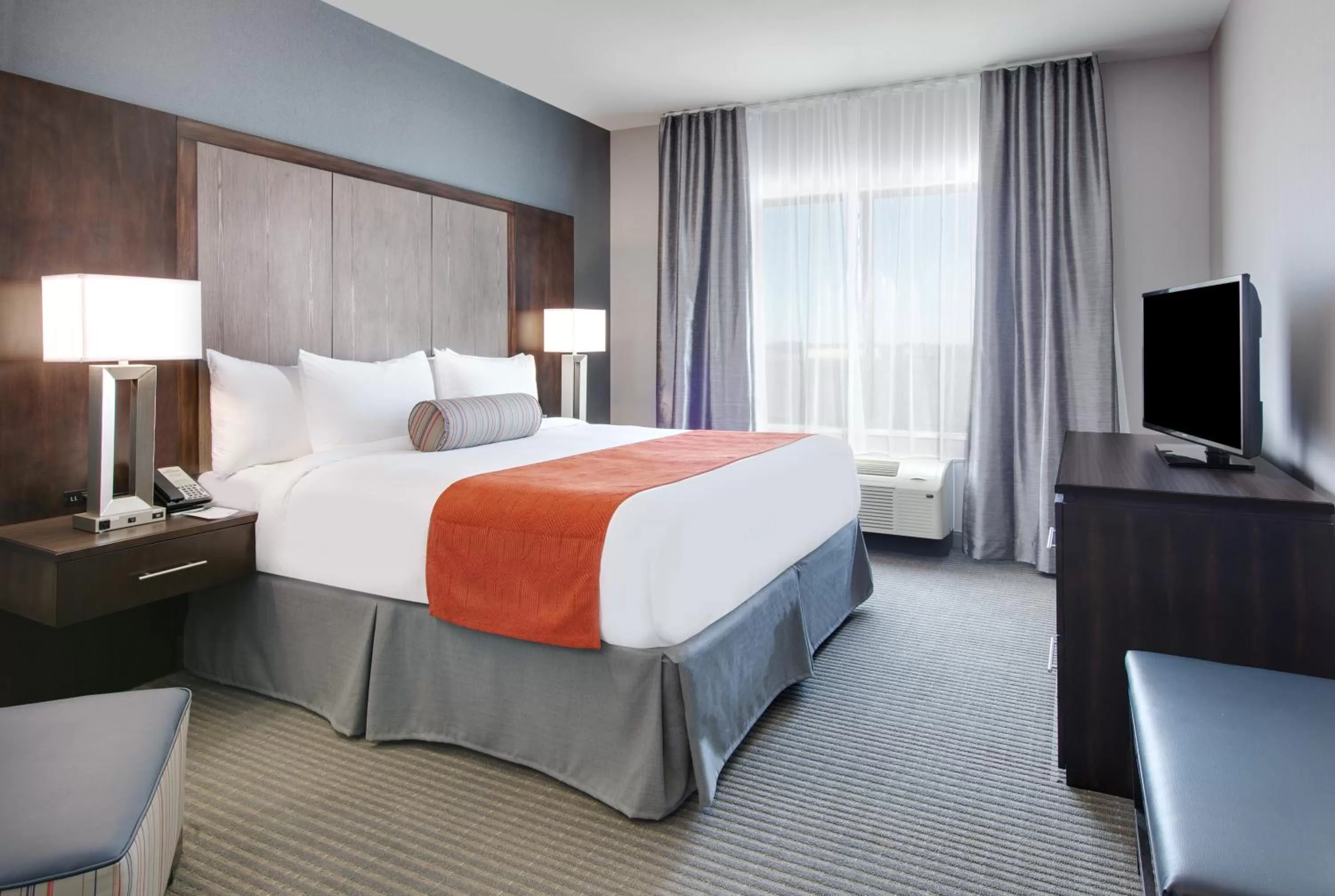 King Room - Non-Smoking in Wingate by Wyndham San Angelo