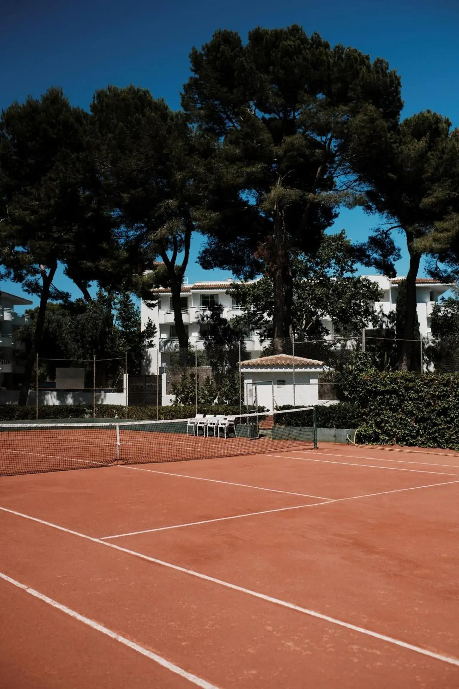 Tennis court, Tennis/Squash in Prinsotel La Pineda