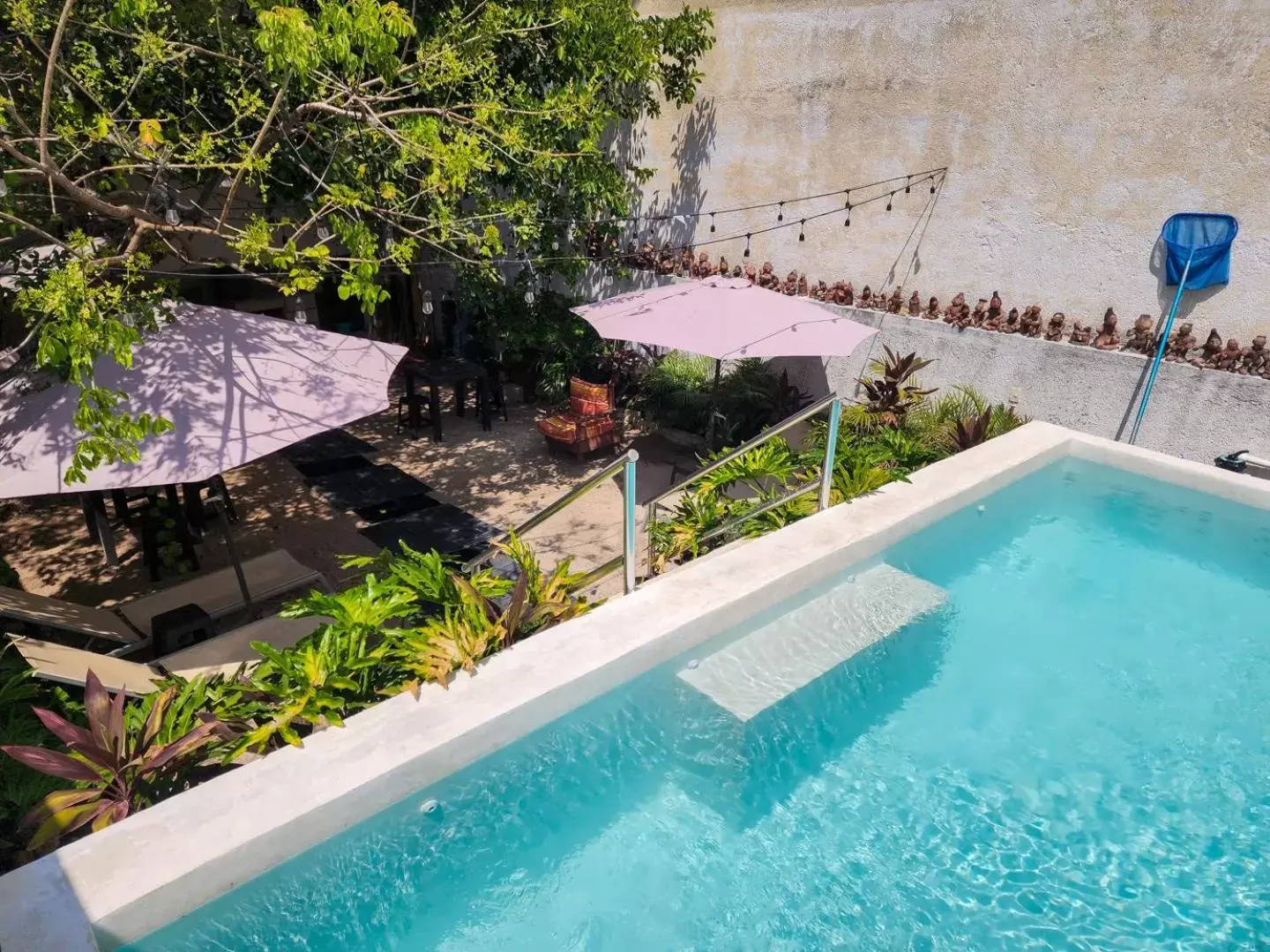 Swimming pool, Pool View in Antillas