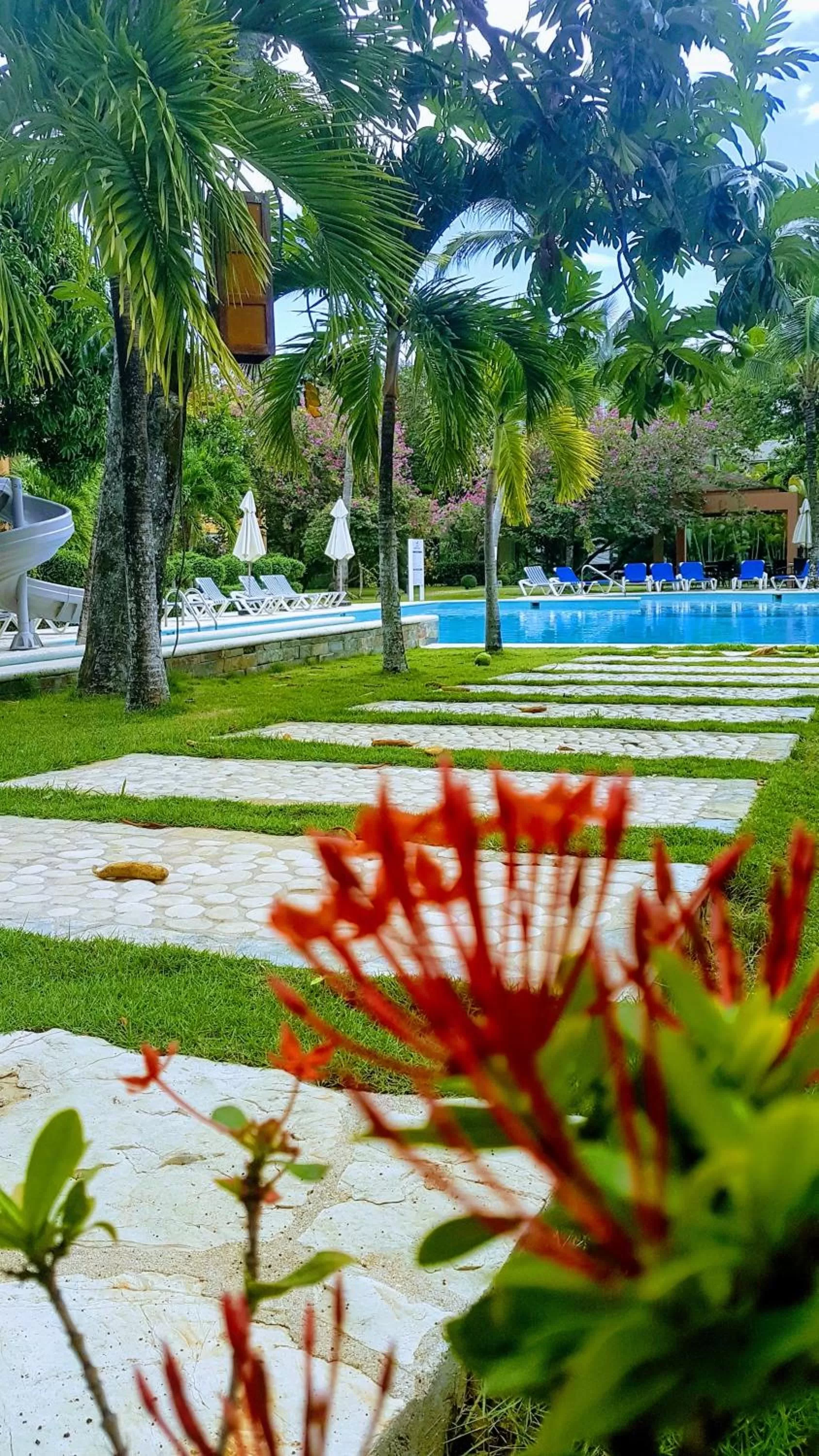 Garden in Instyle Residences at Infiniti Blu