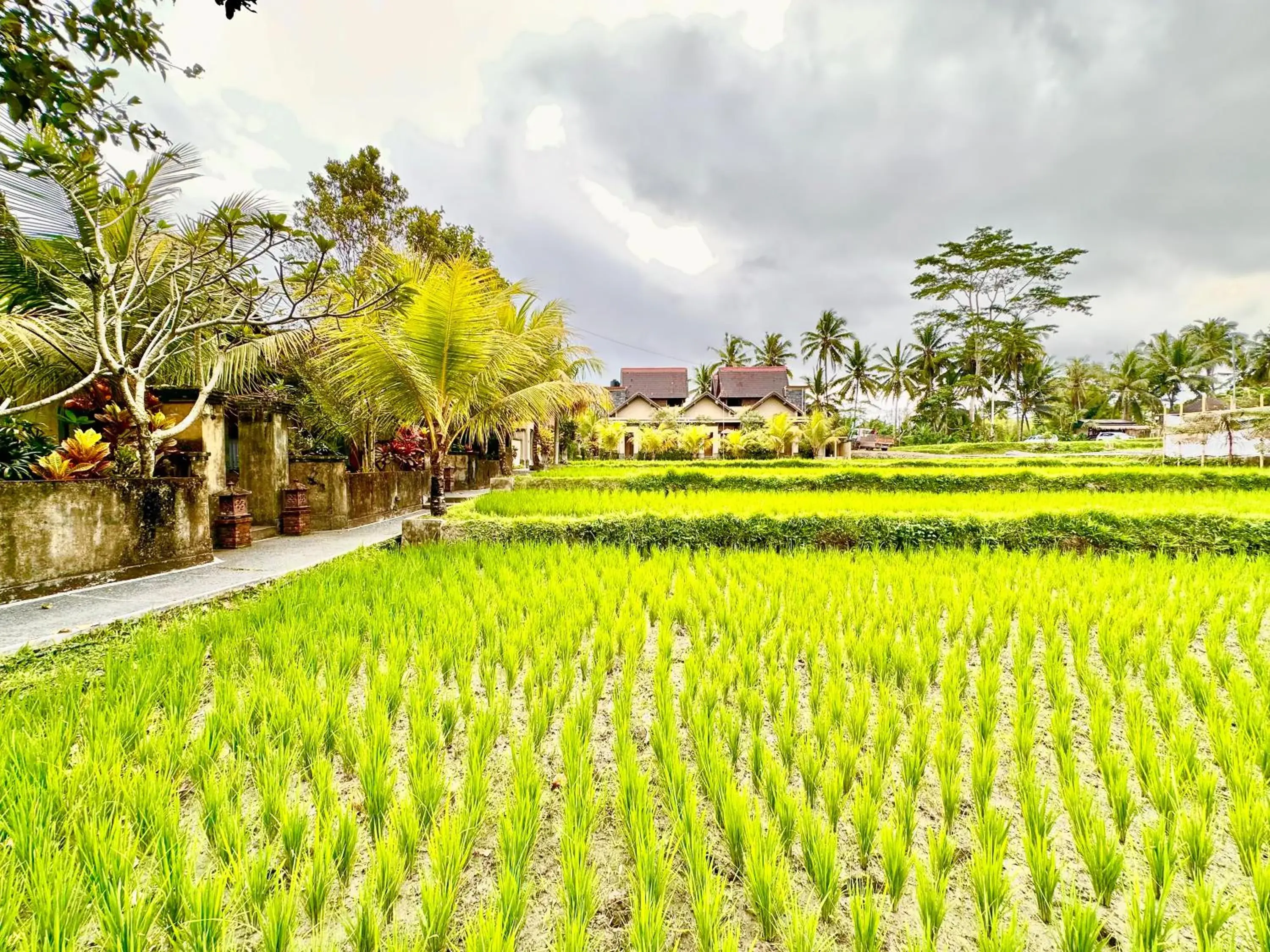 Property building in Dupa Ubud Villa