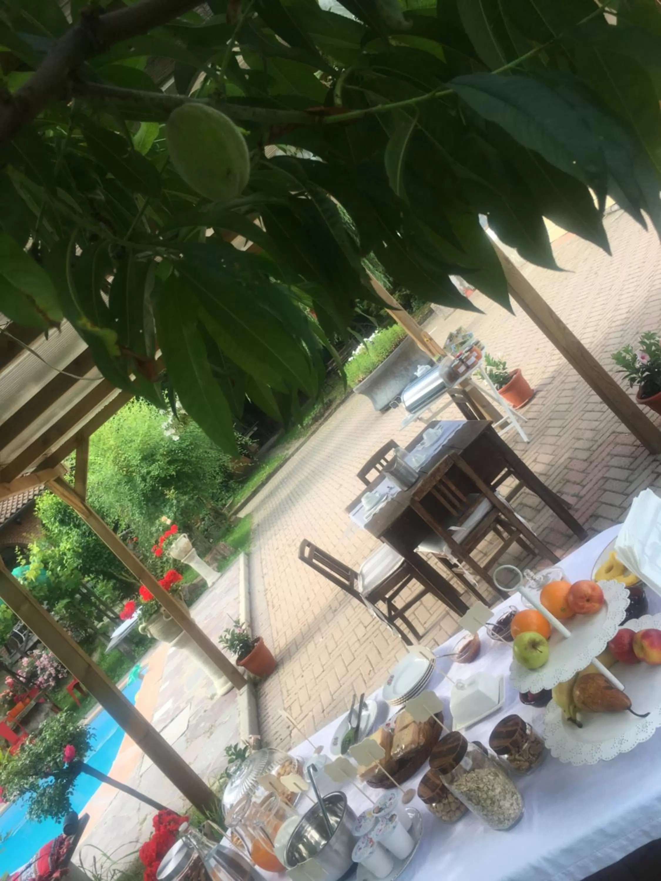 Rossella alla Villarella dei Tulipani