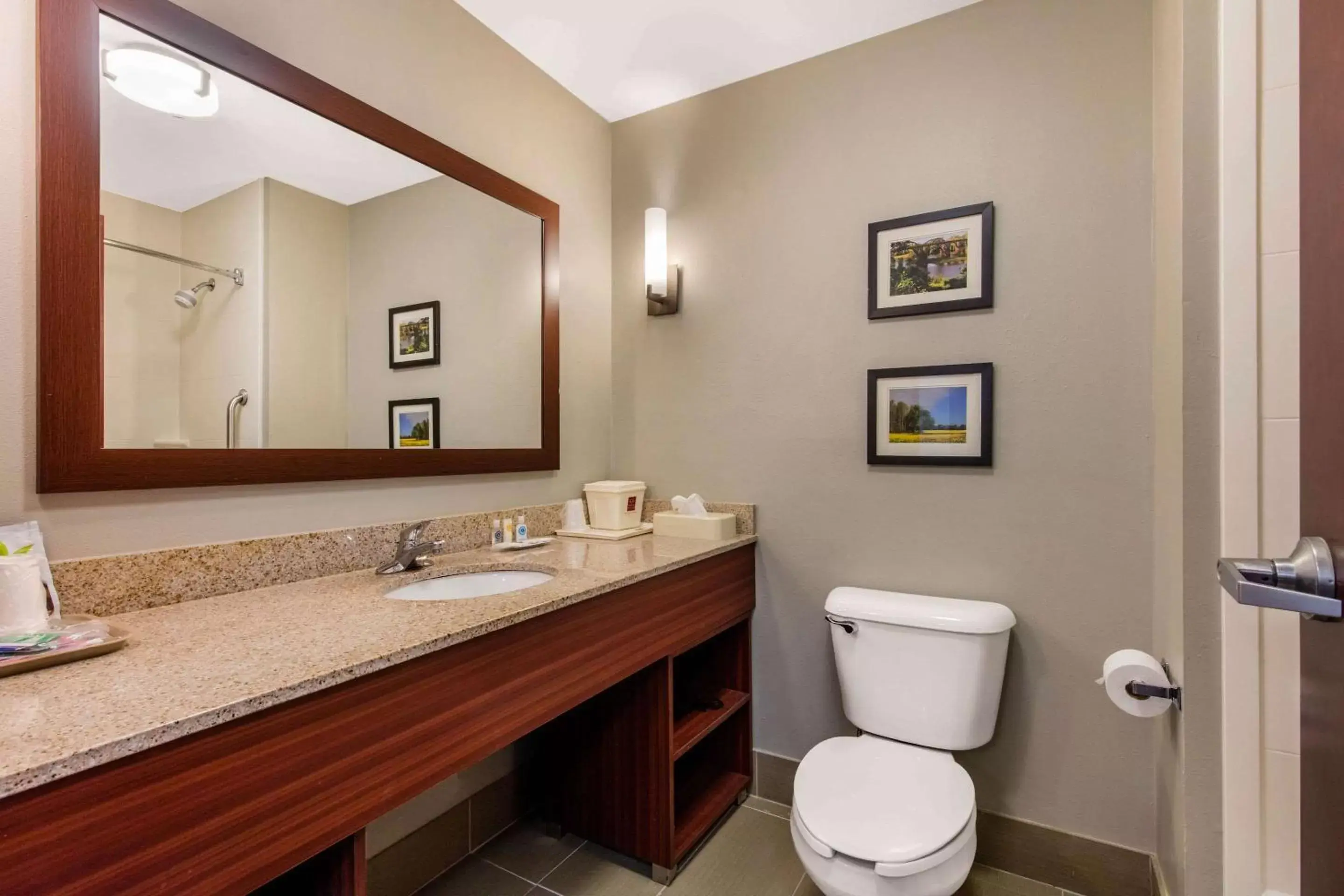 Shower, Bathroom in Comfort Suites Tuscaloosa near University