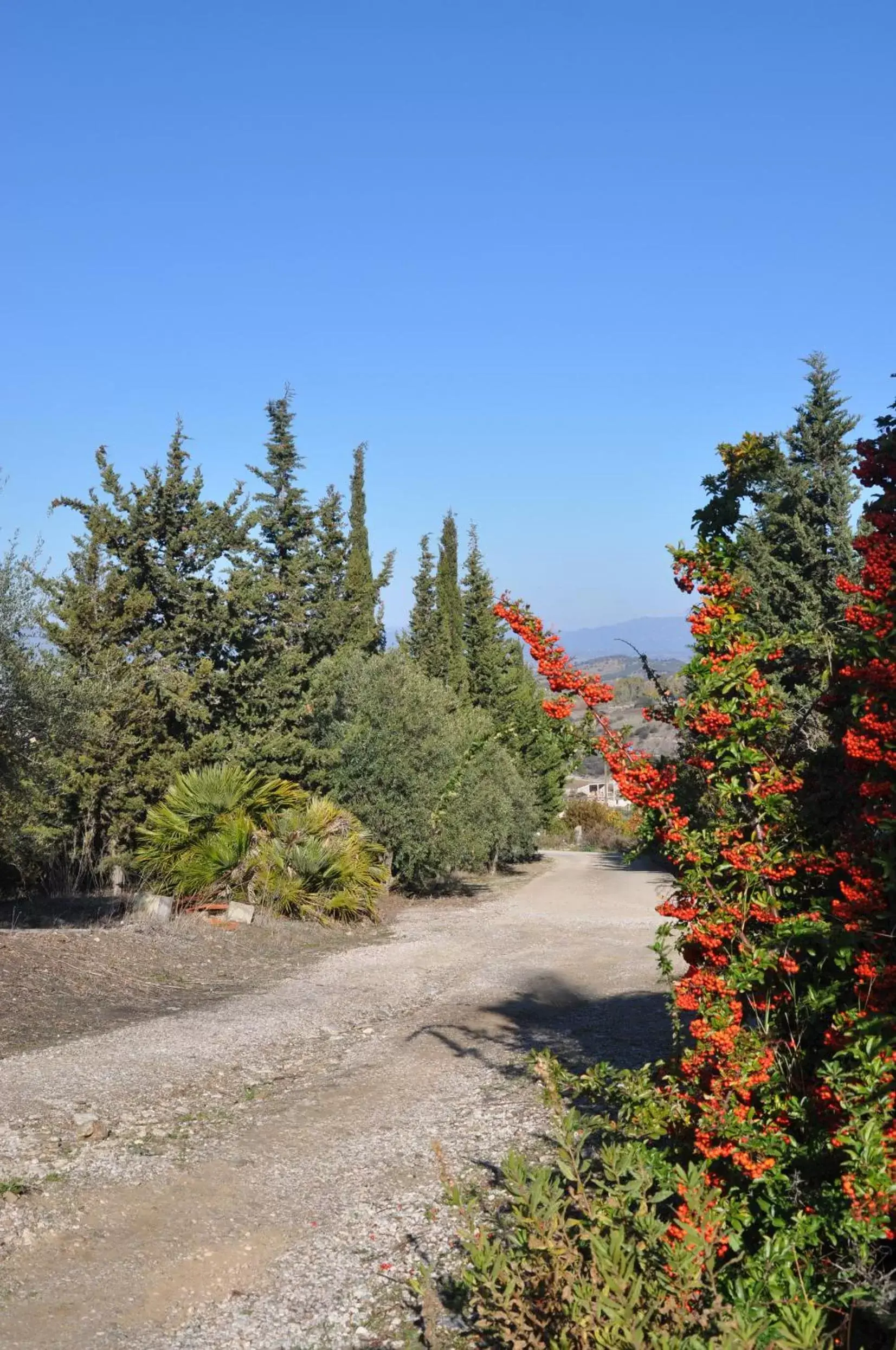 Street view in Casa d' Artista B&B