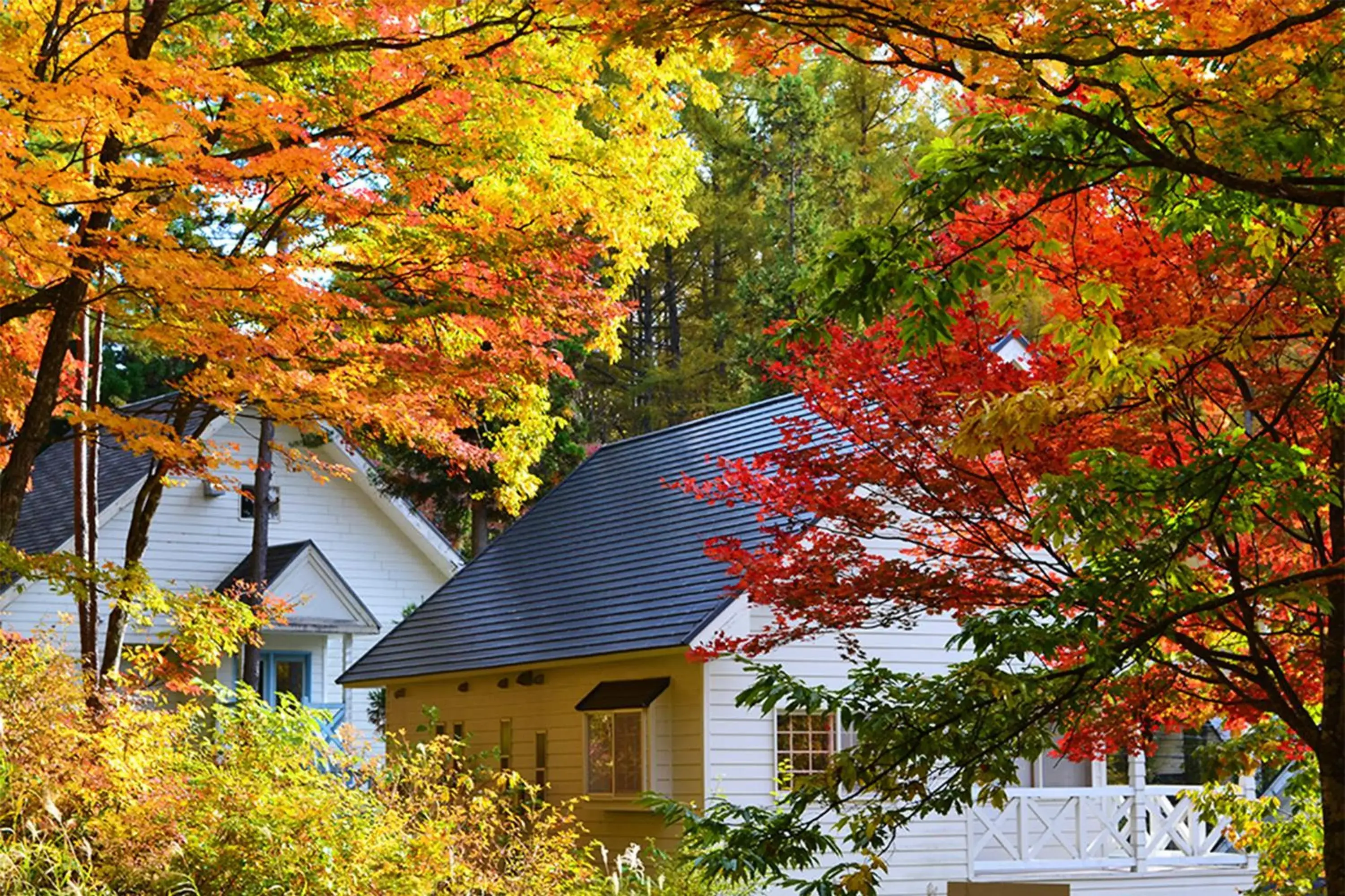 Facade/entrance, Property Building in Resort Villa Takayama