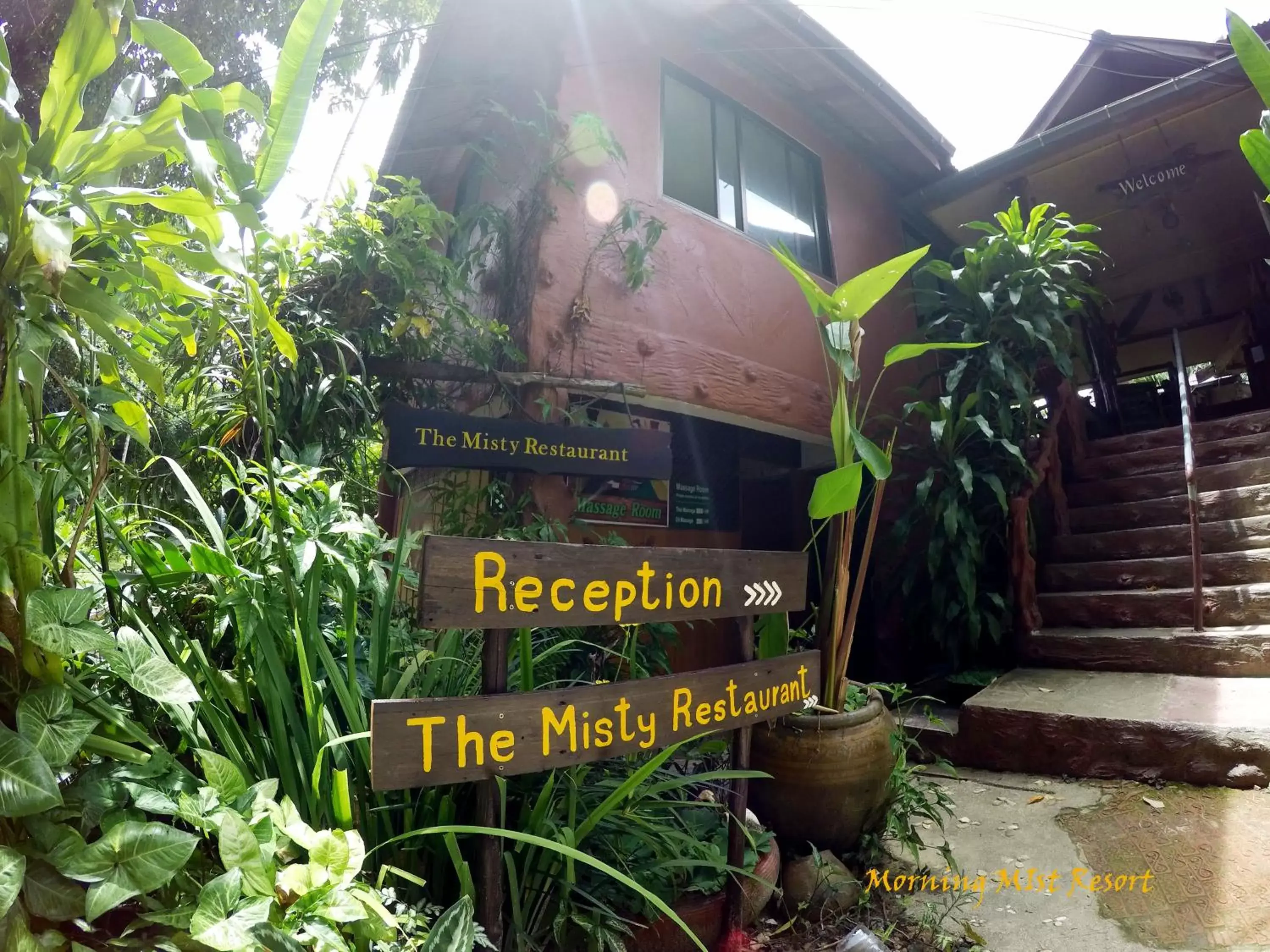 Restaurant/places to eat in Khao Sok Morning Mist Resort