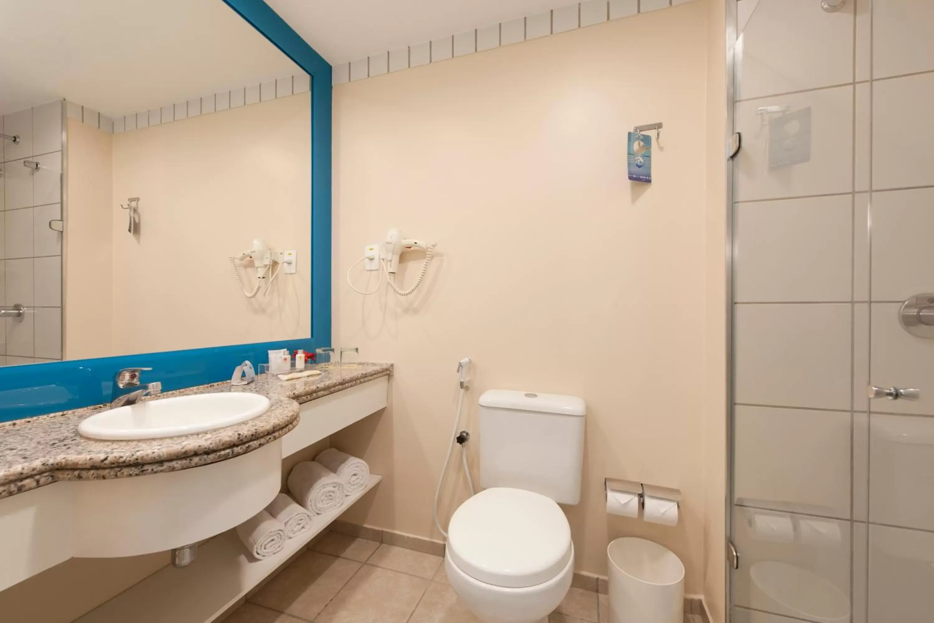 Toilet, Bathroom in Comfort Hotel Fortaleza