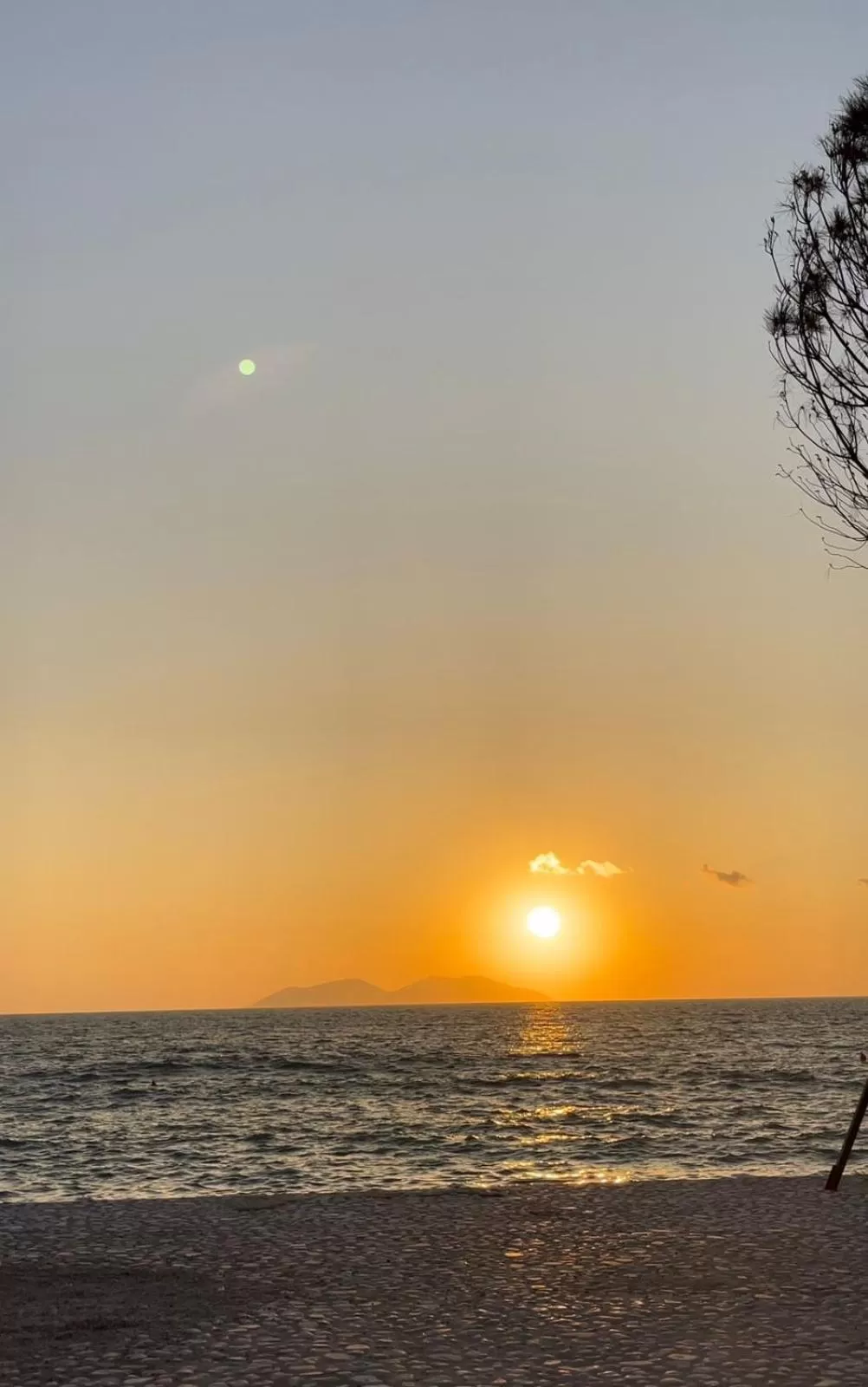 Natural landscape in Esbjerg Hotel