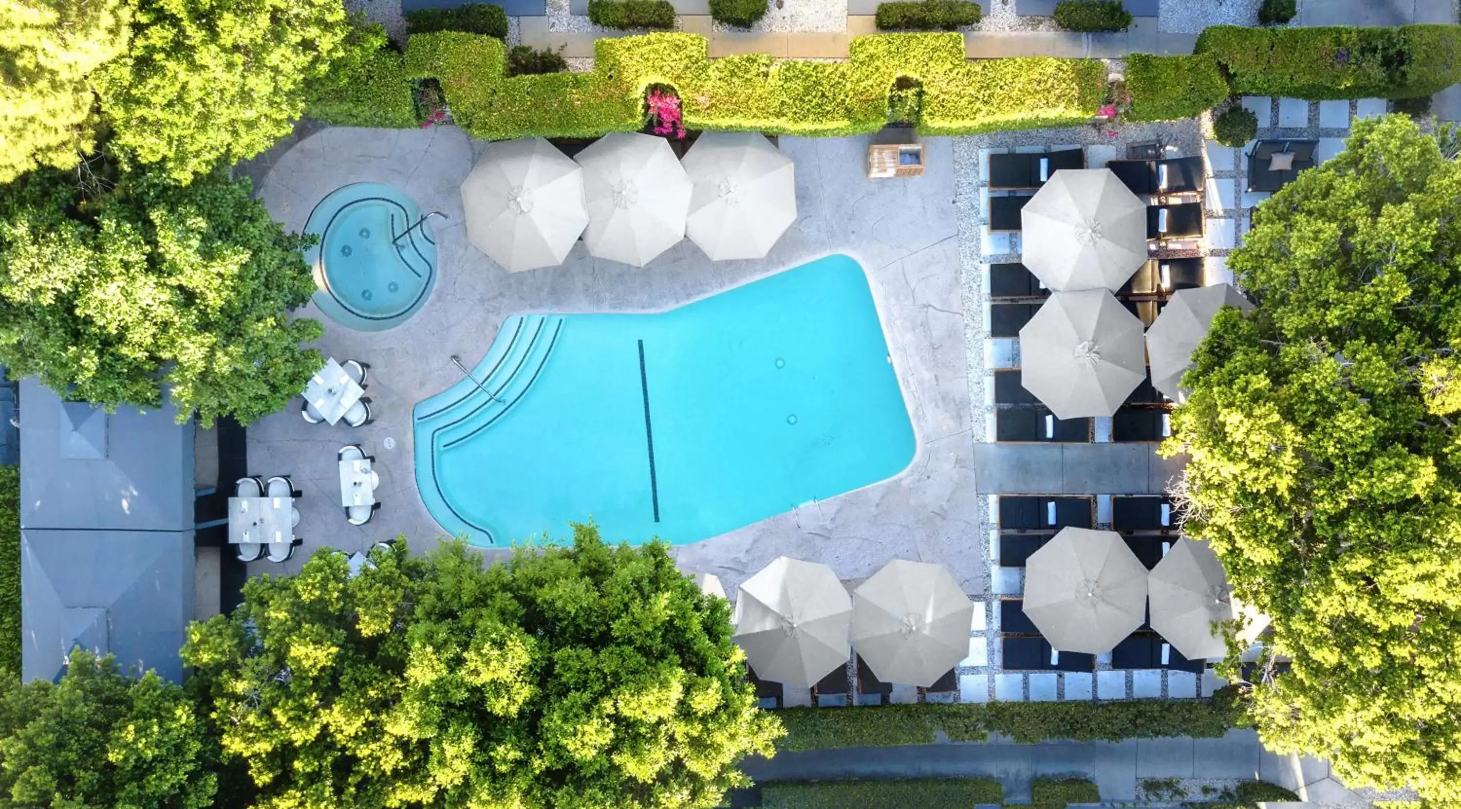 Bird's eye view, Pool View in Avalon Hotel and Bungalows Palm Springs