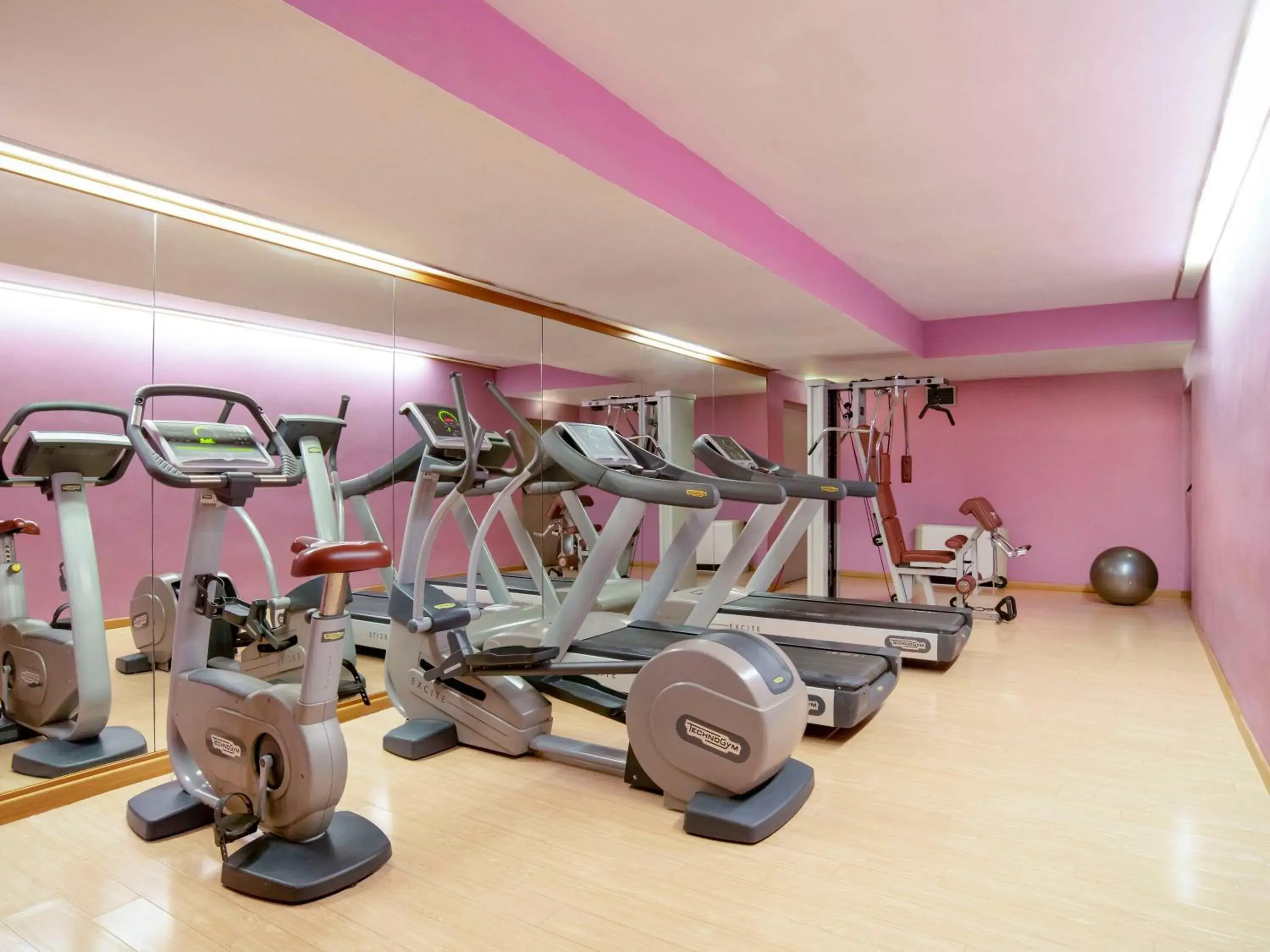 Fitness centre/facilities, Fitness Center/Facilities in Mercure Roma West