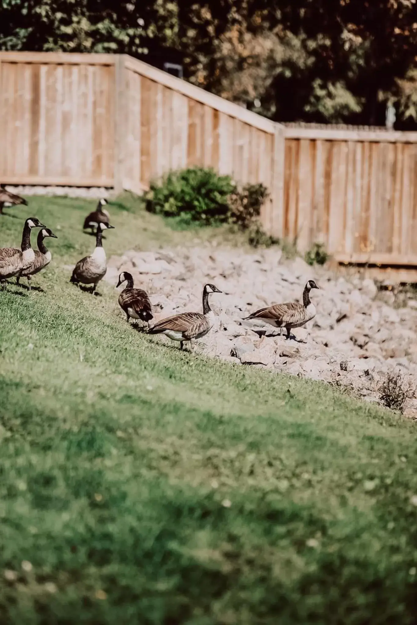 Property building, Other Animals in La Place Rendez-Vous Hotel