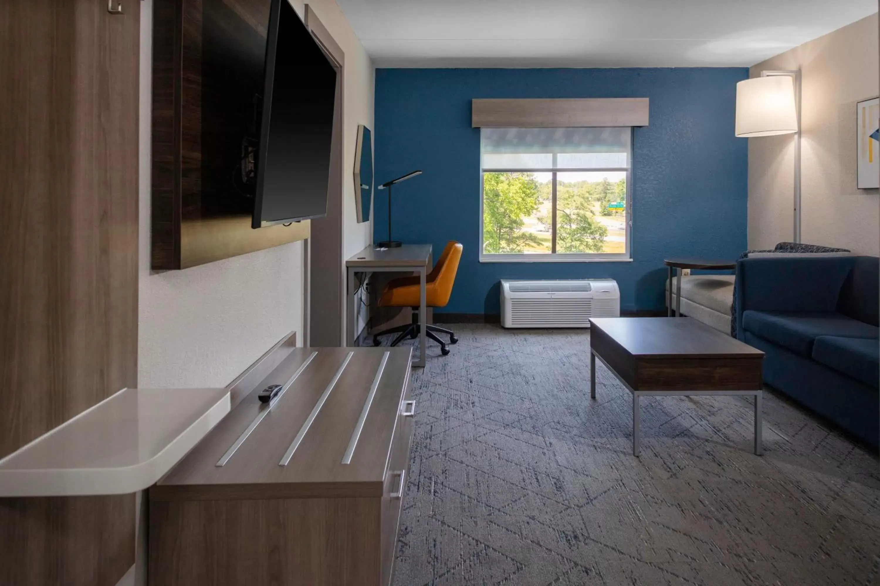 Bedroom, Seating Area in Holiday Inn Express - Rocky Mount - Sports Center, an IHG Hotel