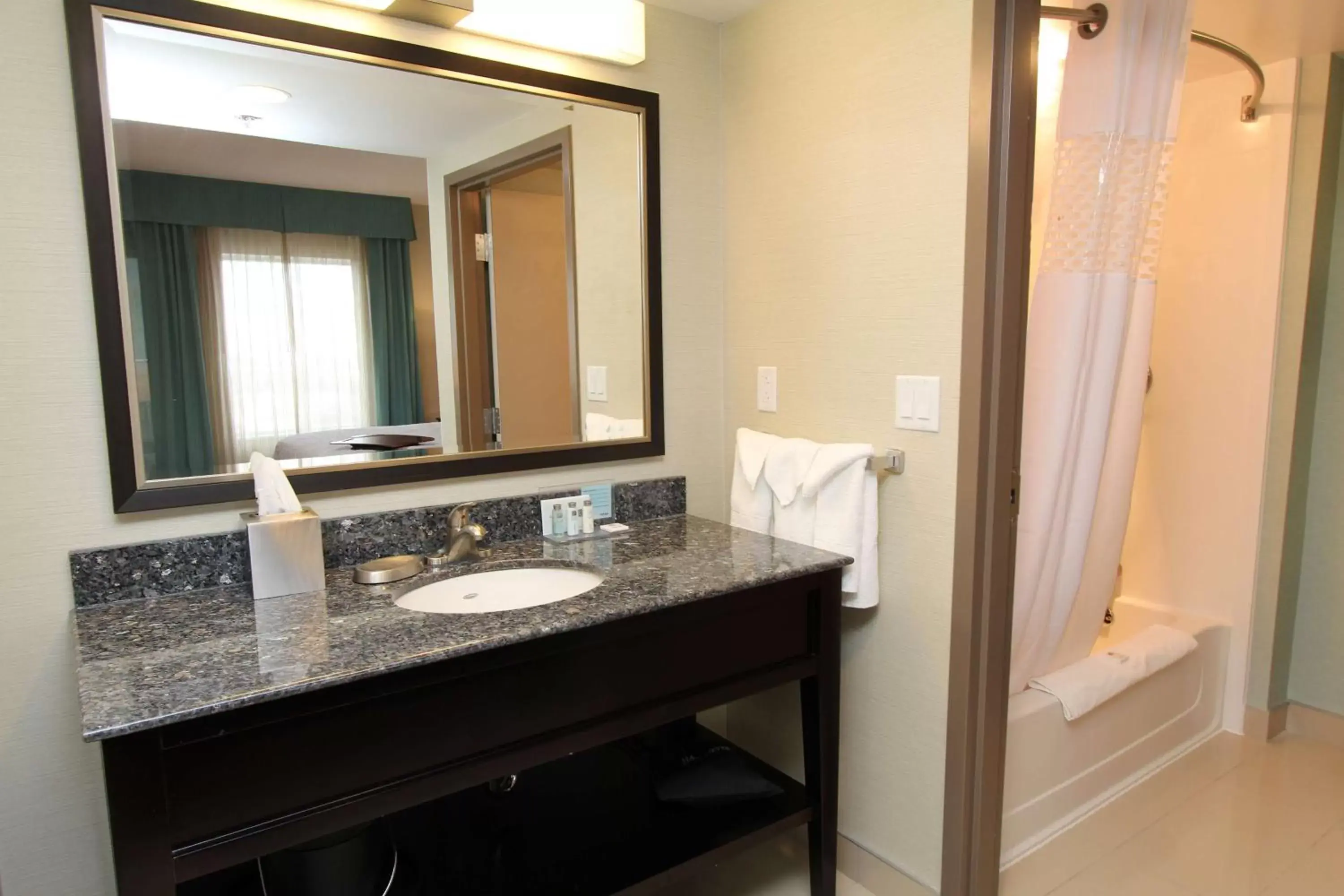 Bathroom in Hampton Inn & Suites by Hilton St. John's Airport