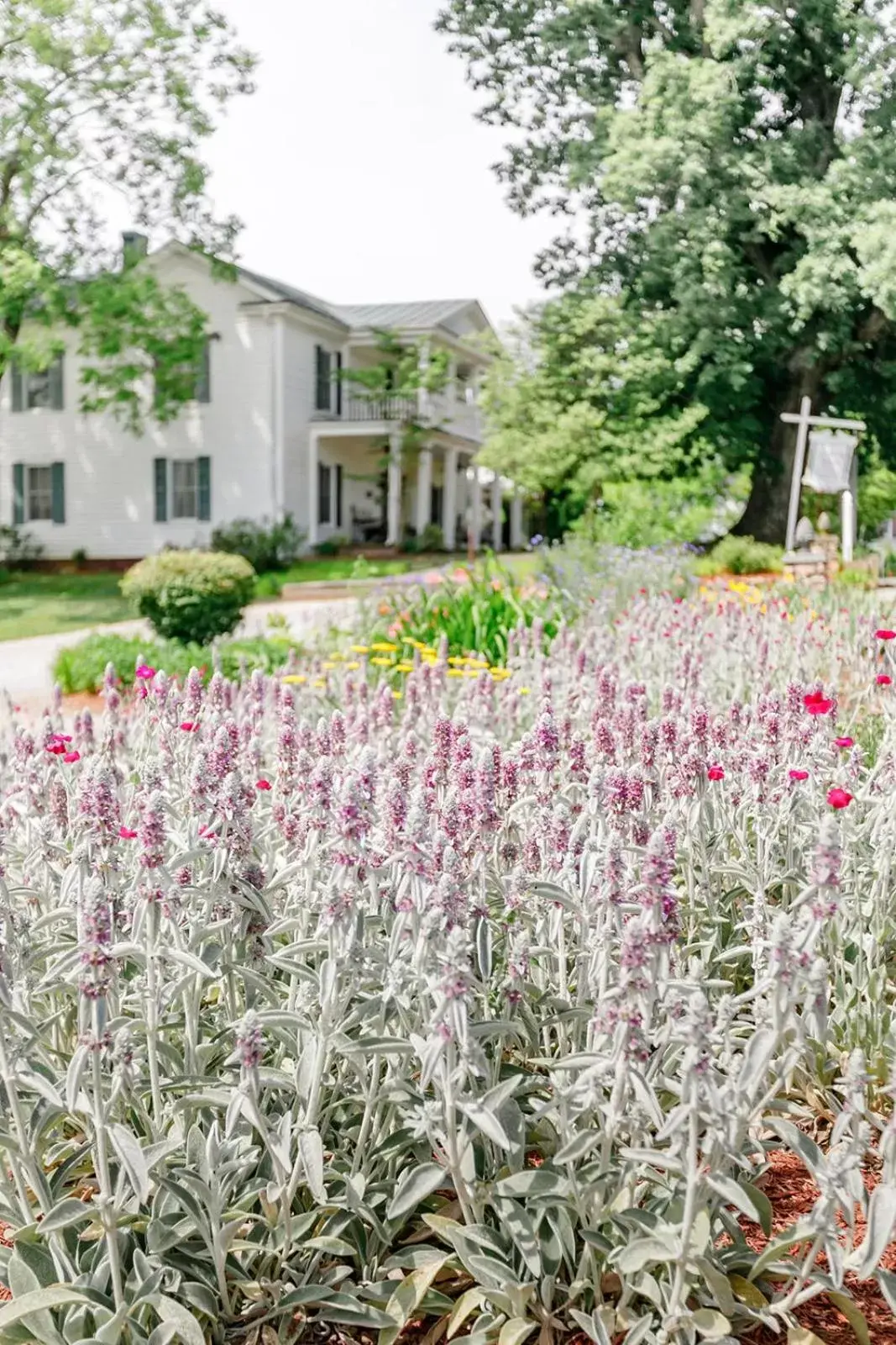 Garden view, Property Building in The Babcock House