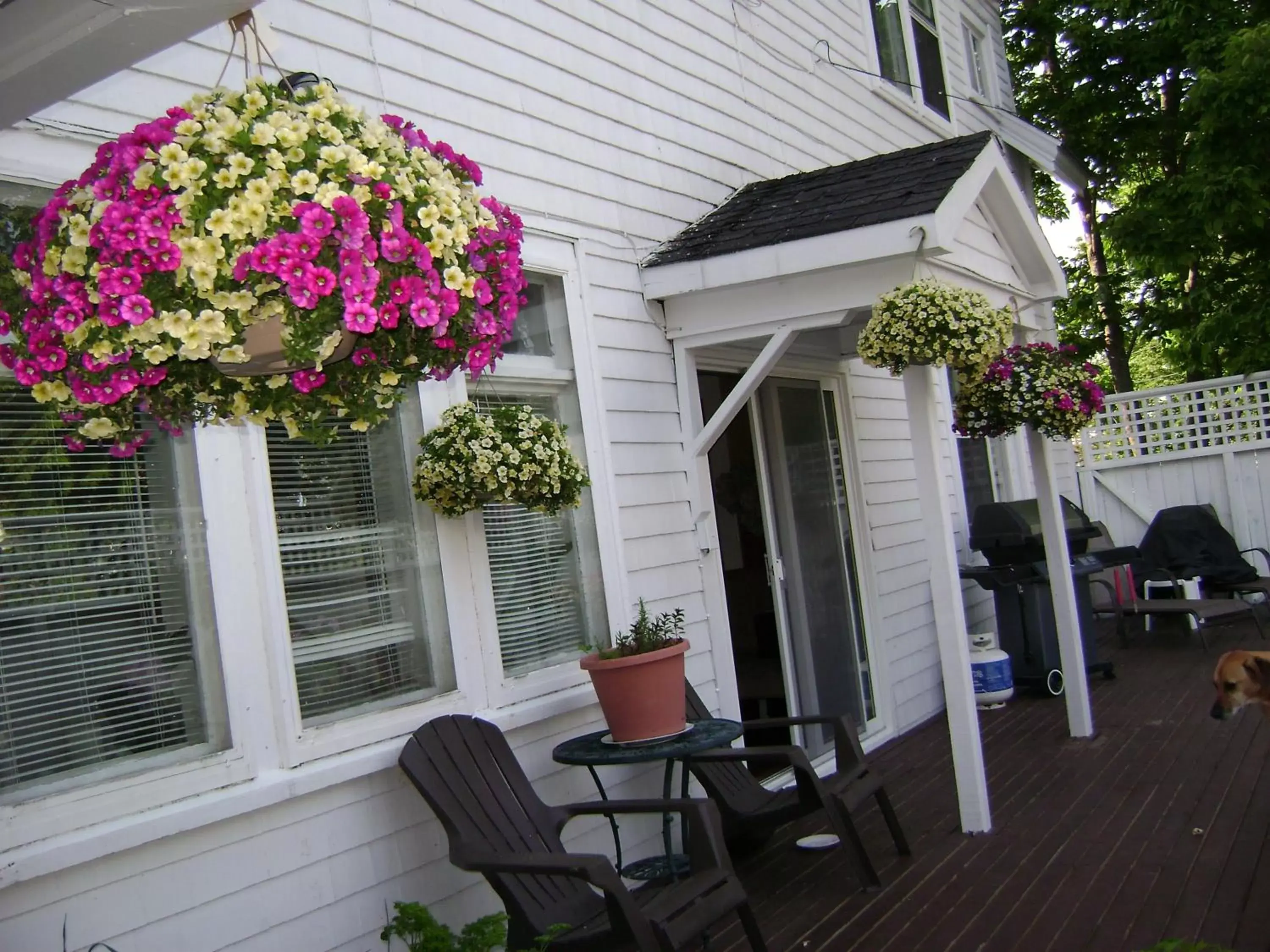 Patio in Lakelawn B&B and Motel