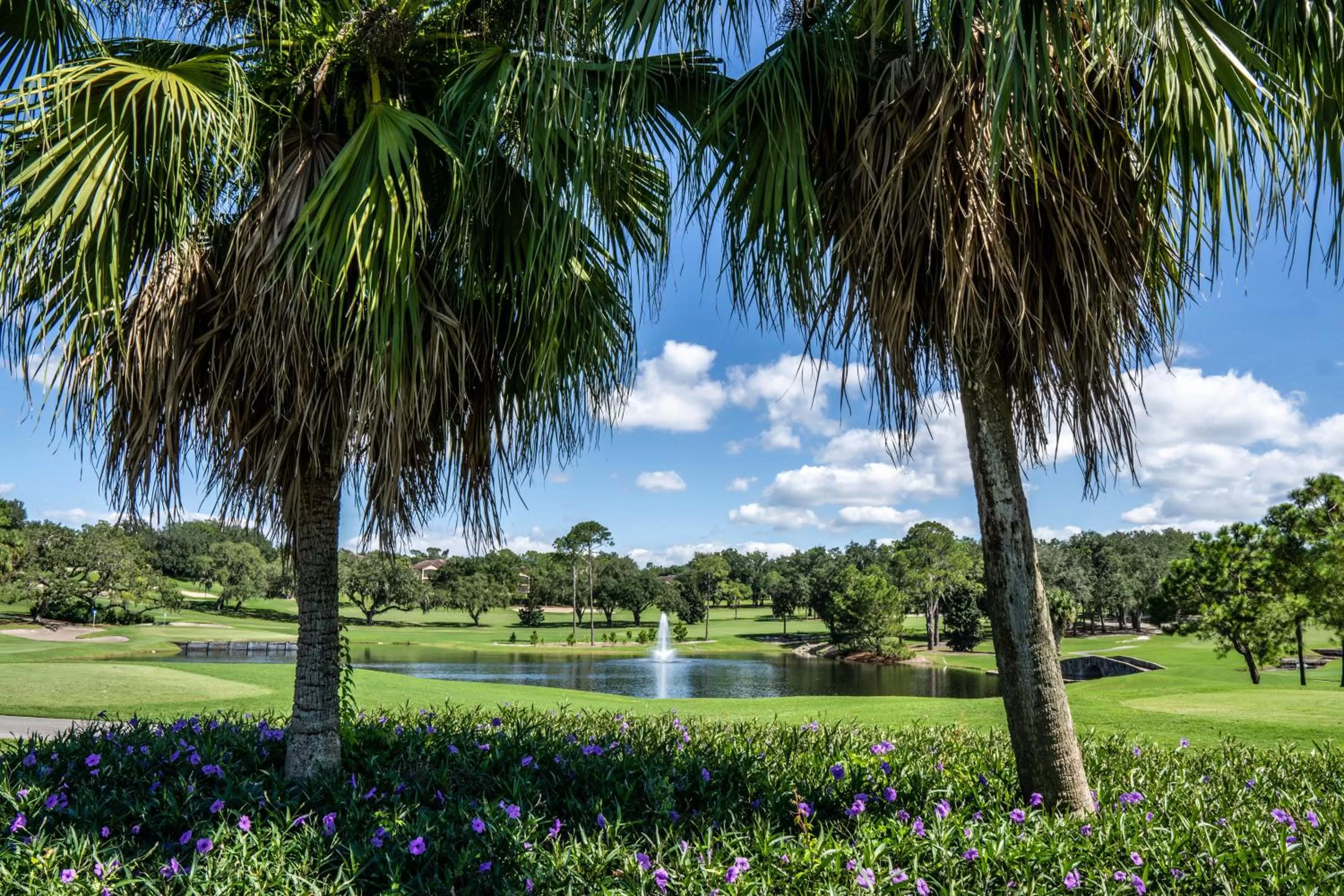 Golfcourse in Mission Resort and Club