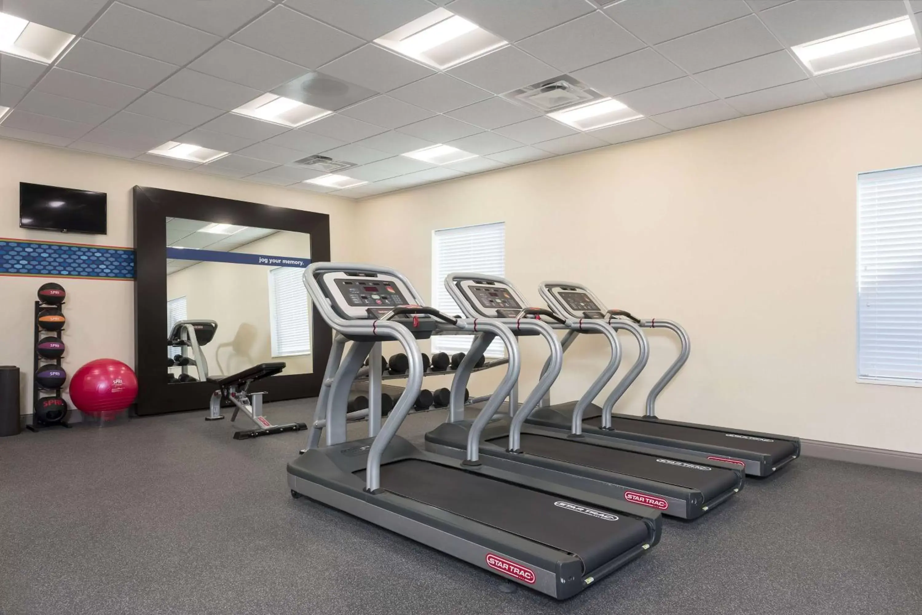 Fitness centre/facilities, Fitness Center/Facilities in Hampton Inn & Suites by Hilton Chicago Schaumburg IL