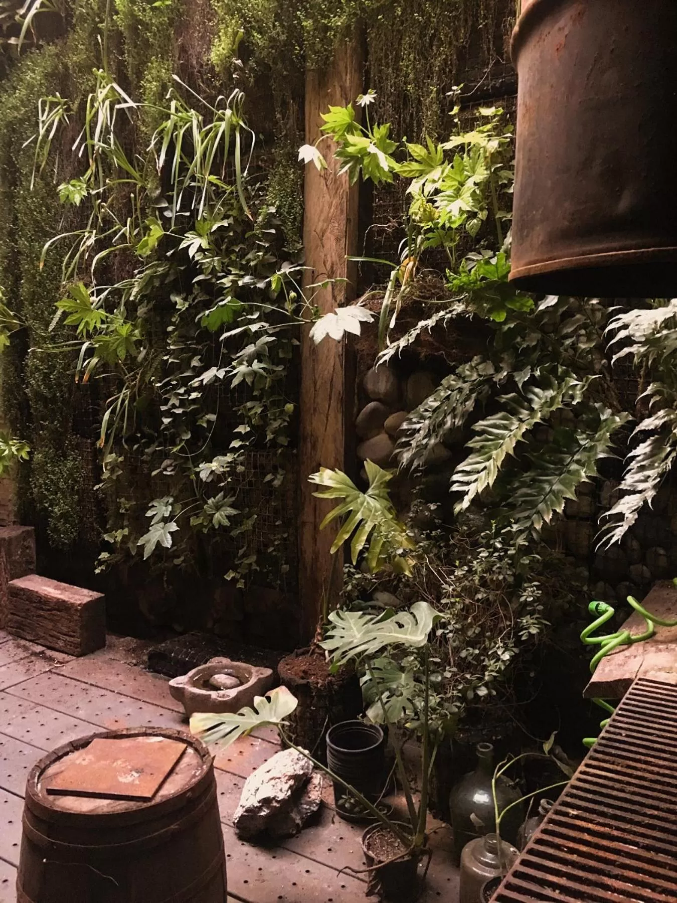 Garden in CASA LUCRECIA