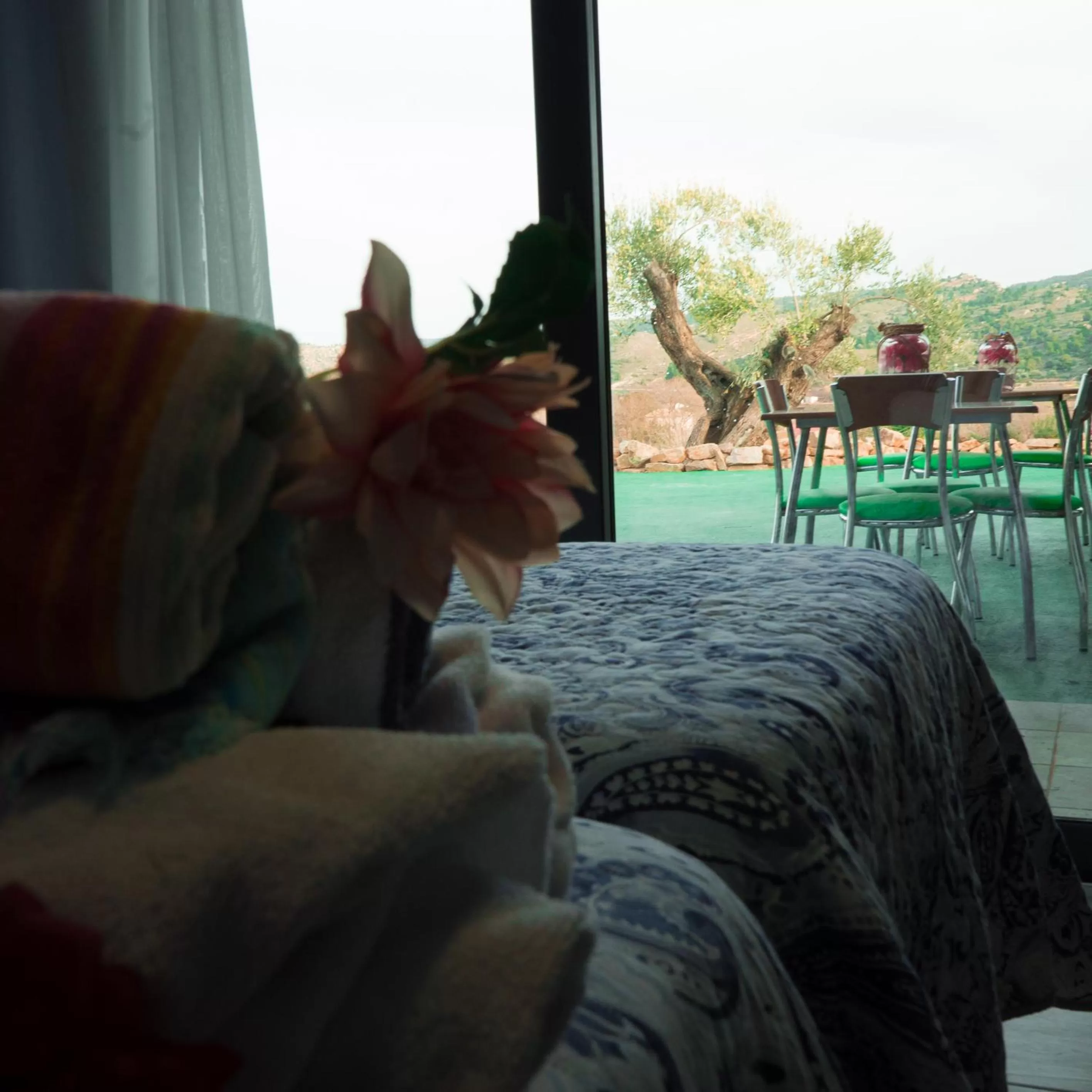 Patio, Swimming Pool in Cabezo Buñuel Hostal