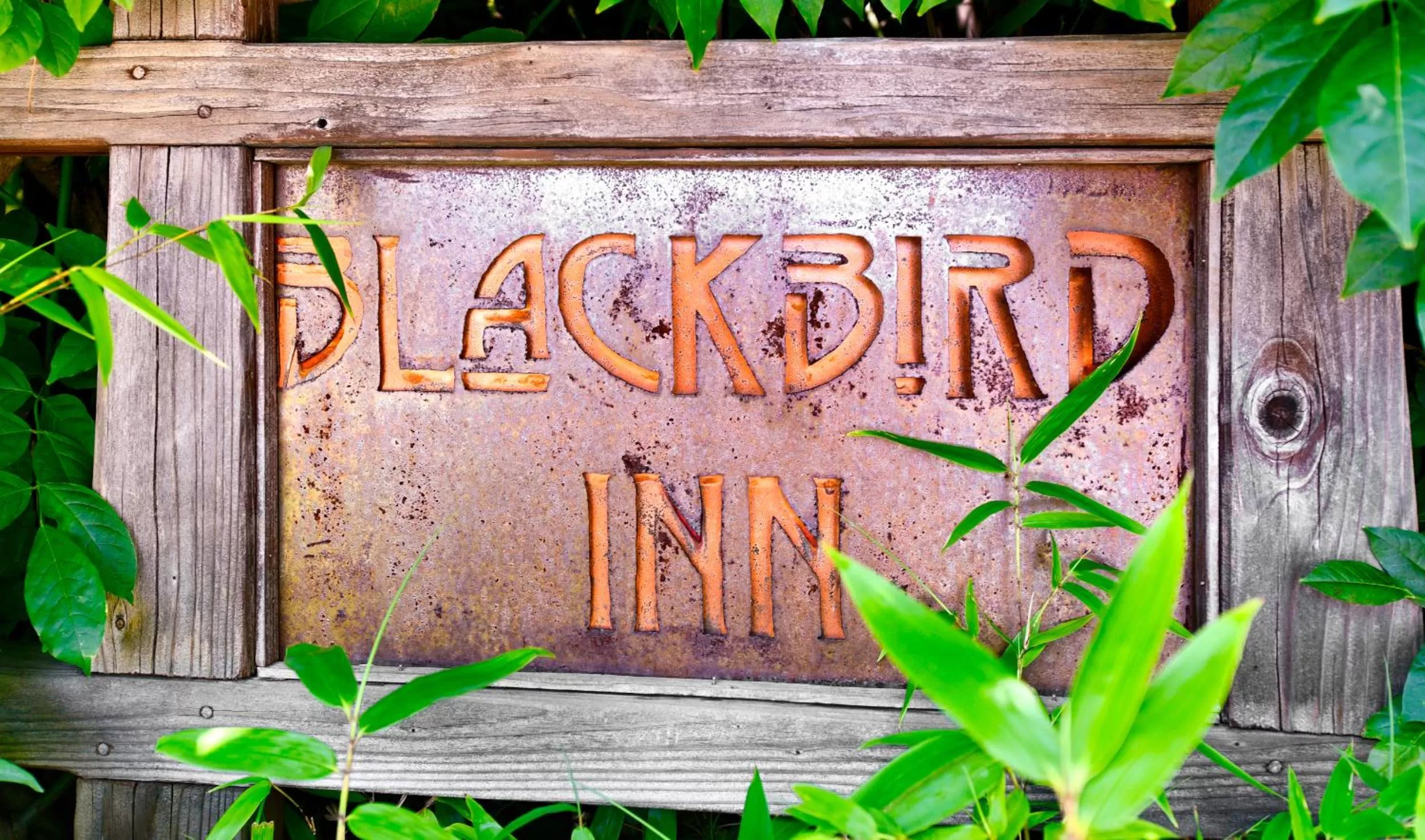 Logo/Certificate/Sign in Blackbird Inn