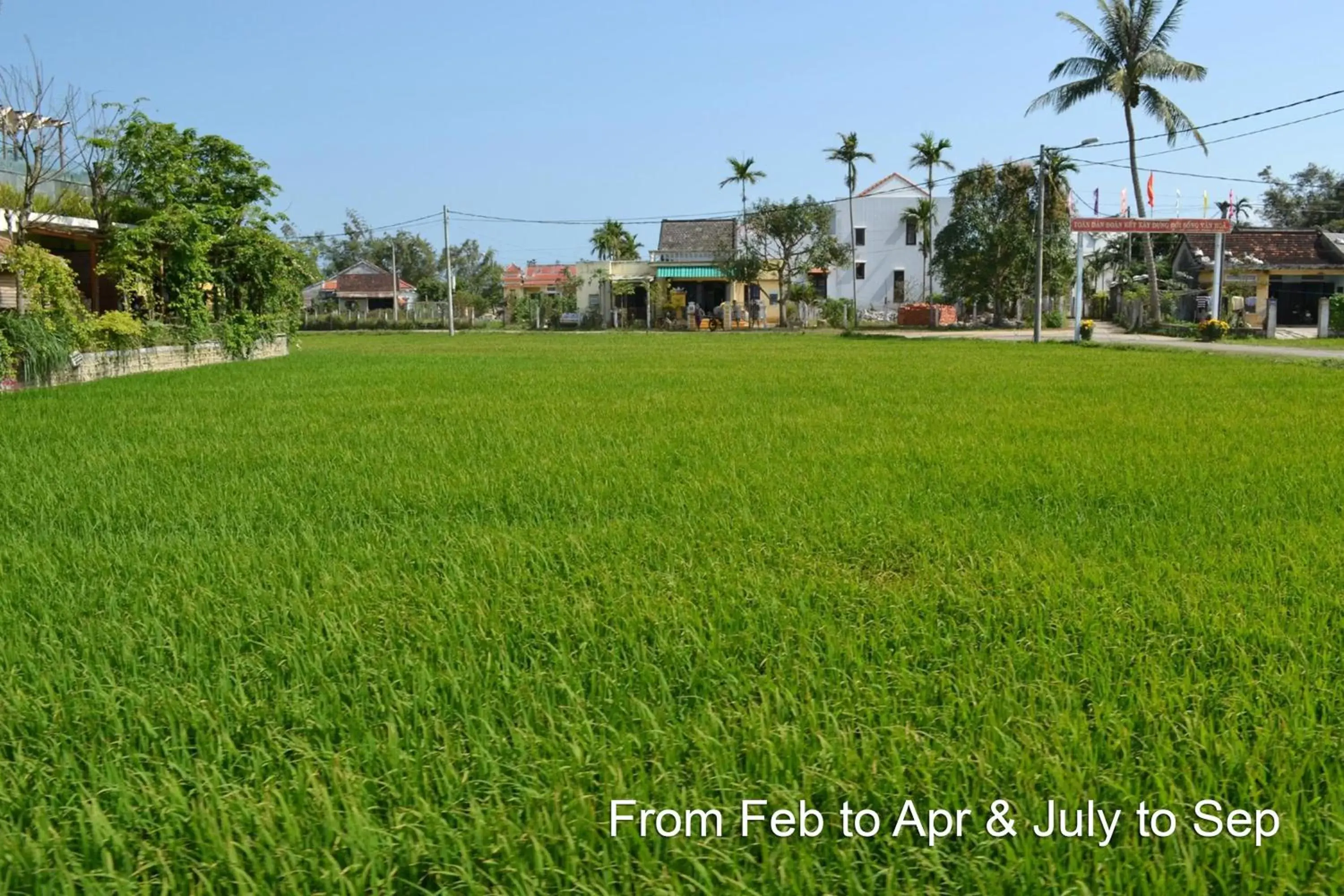 Neighbourhood, Garden in Hoi An Chic - Green Retreat