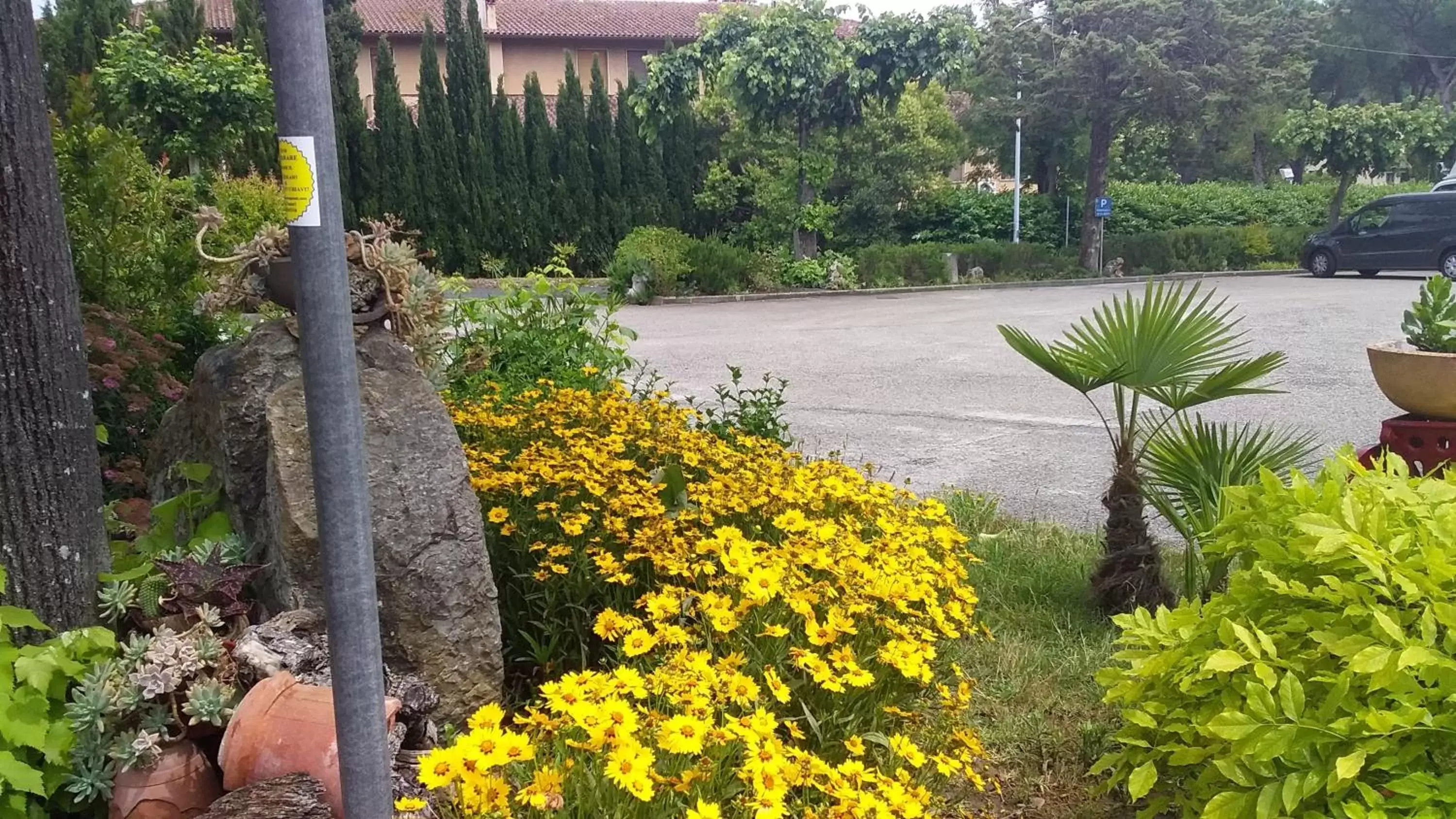 Day, Garden in Hotel Rosati