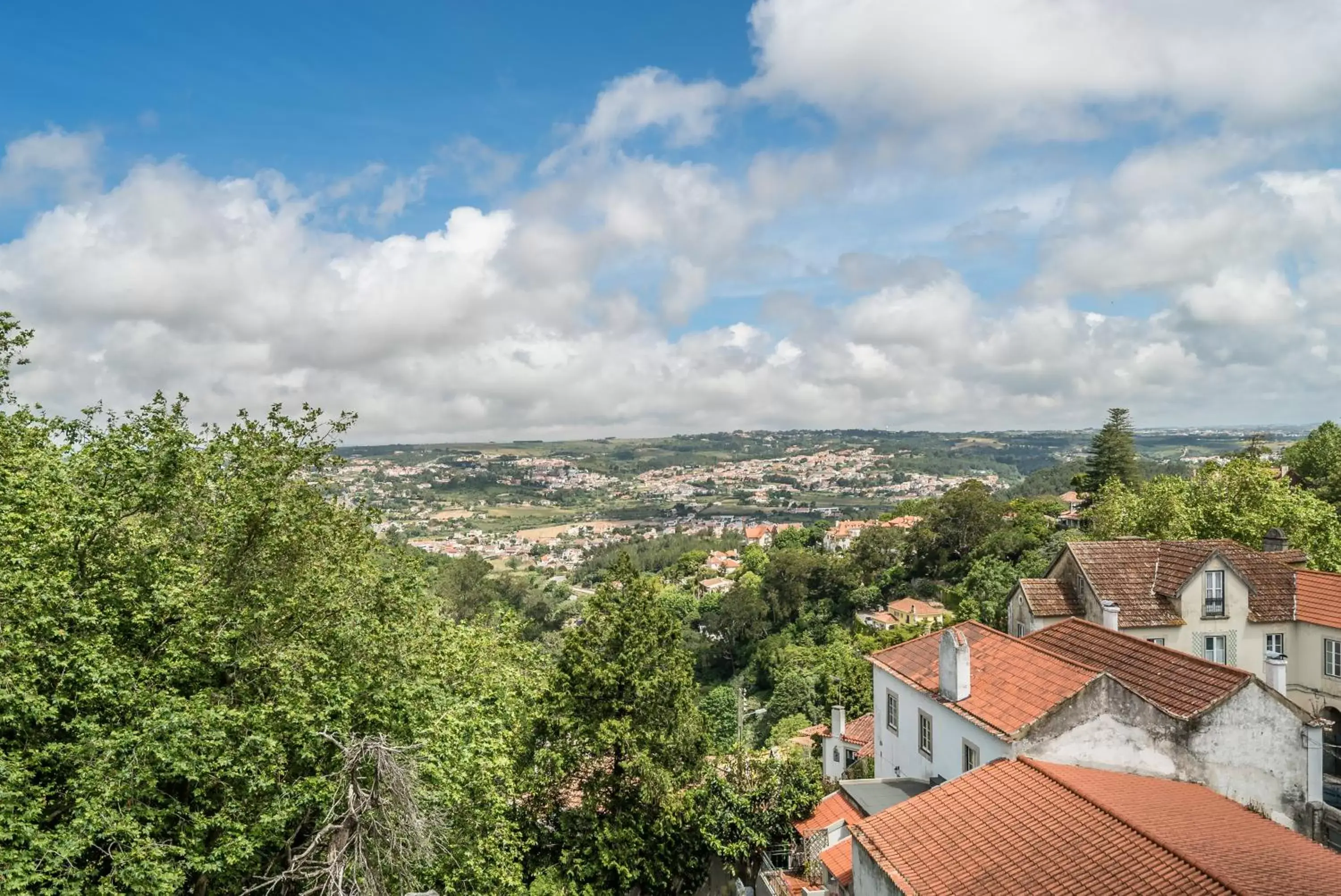 View (from property/room), Neighborhood in Lawrences Hotel