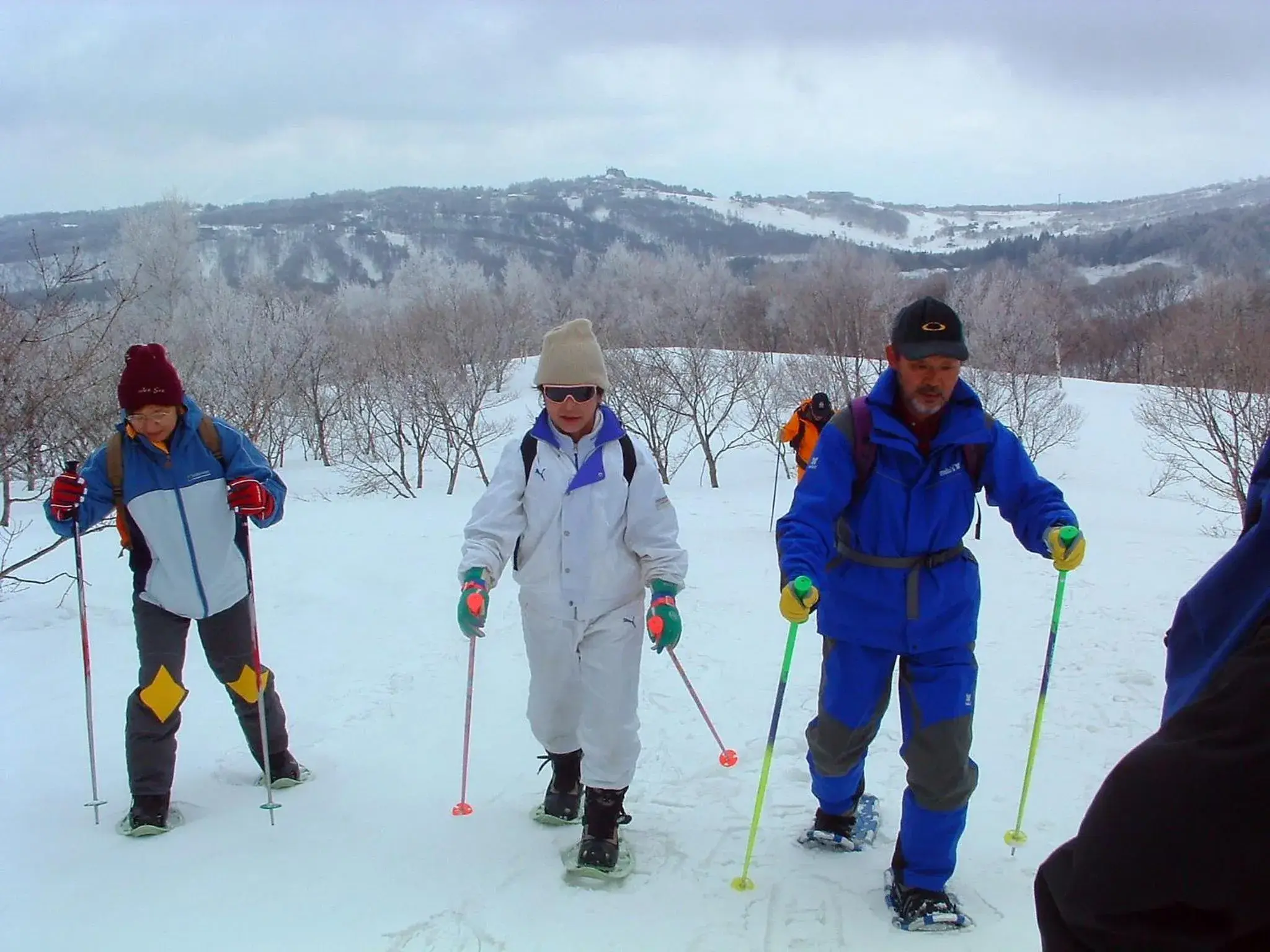 Skiing in Madarao Elm Pension