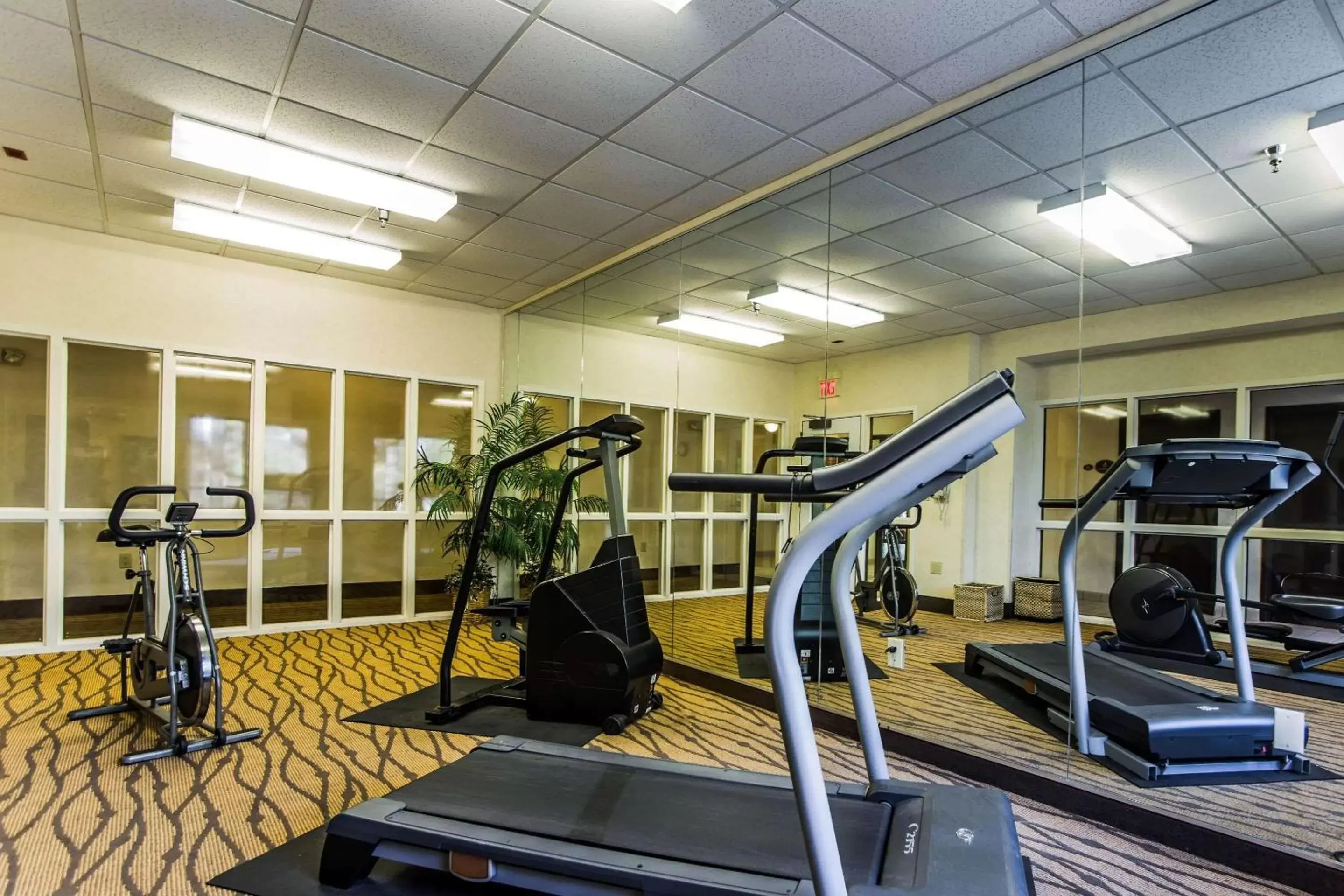 Fitness centre/facilities, Fitness Center/Facilities in Sleep Inn Airport West Columbia